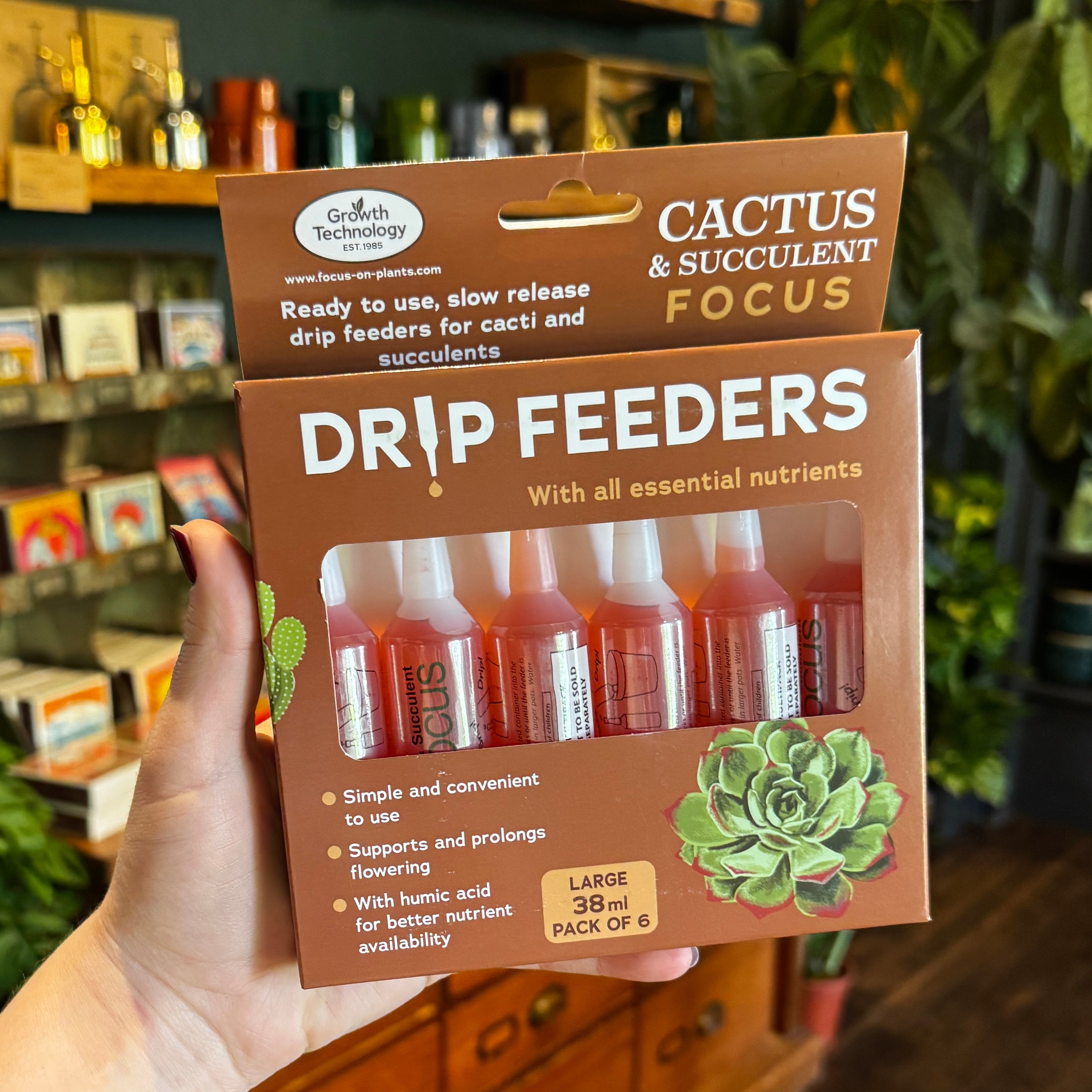 Cactus & Succulent Drip Feeders | 6 Pack