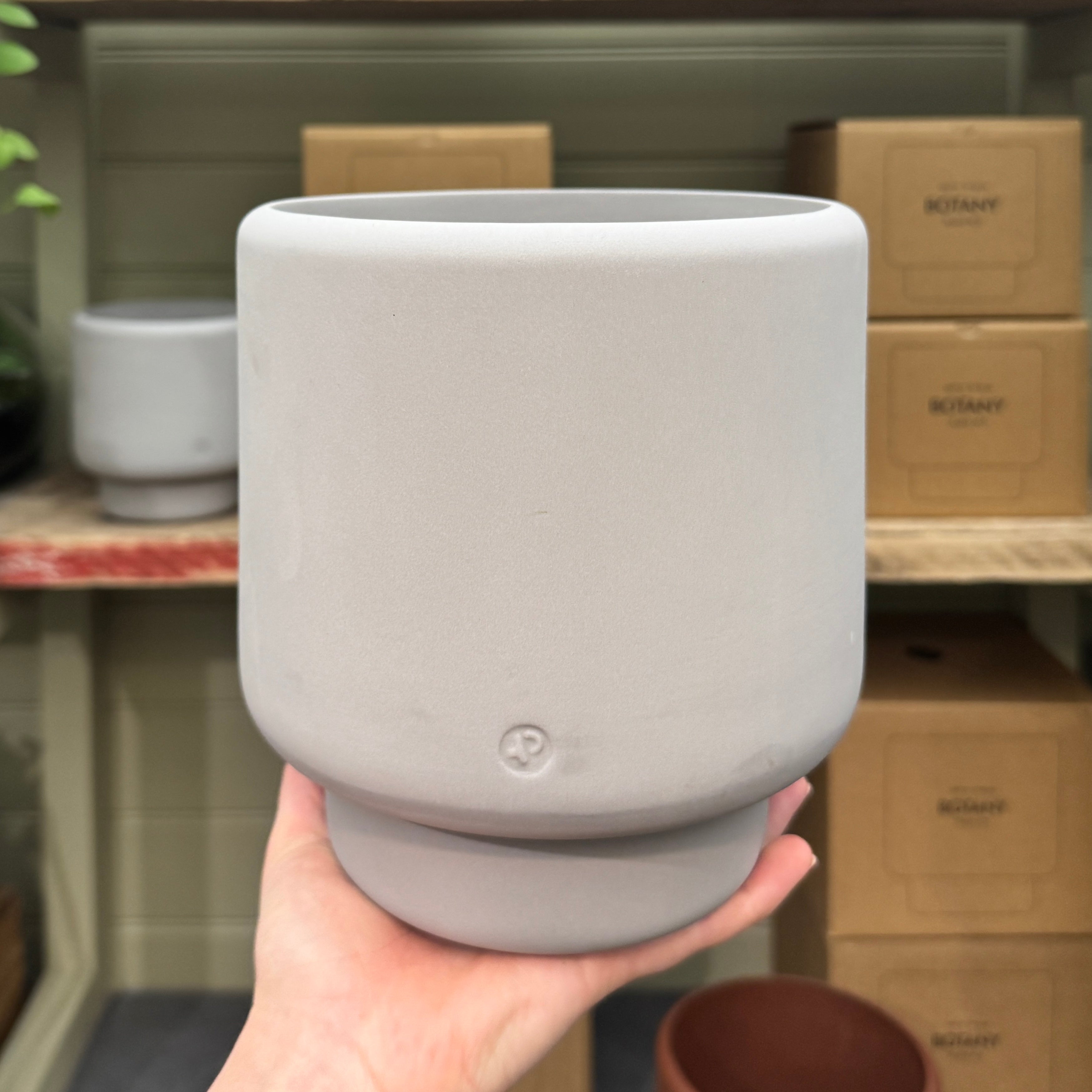 Aaron Probyn Botany Pot - Concrete Grey