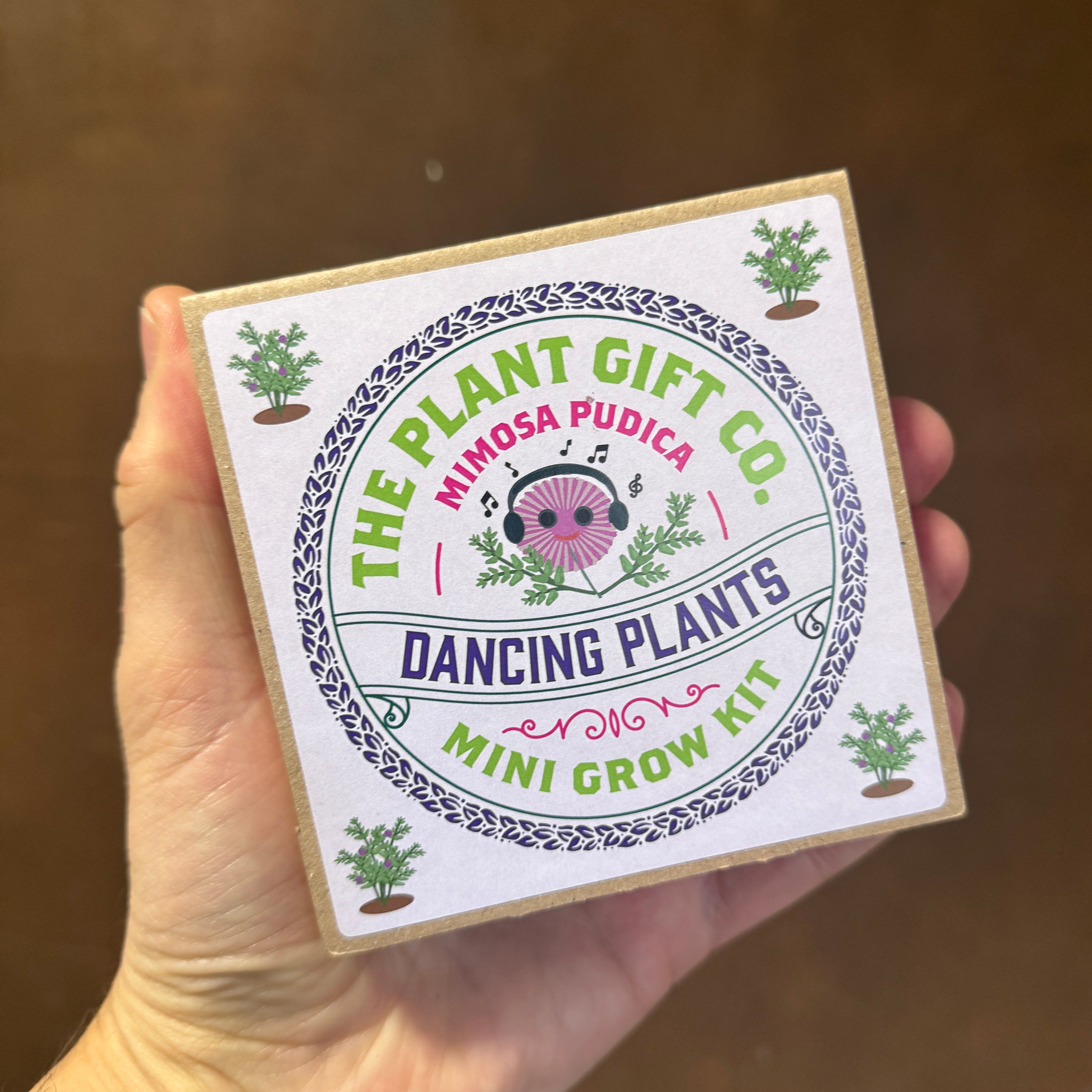 Mini Grow Kit – Easy Grow-From-Seed Gift | The Plant Gift Co.