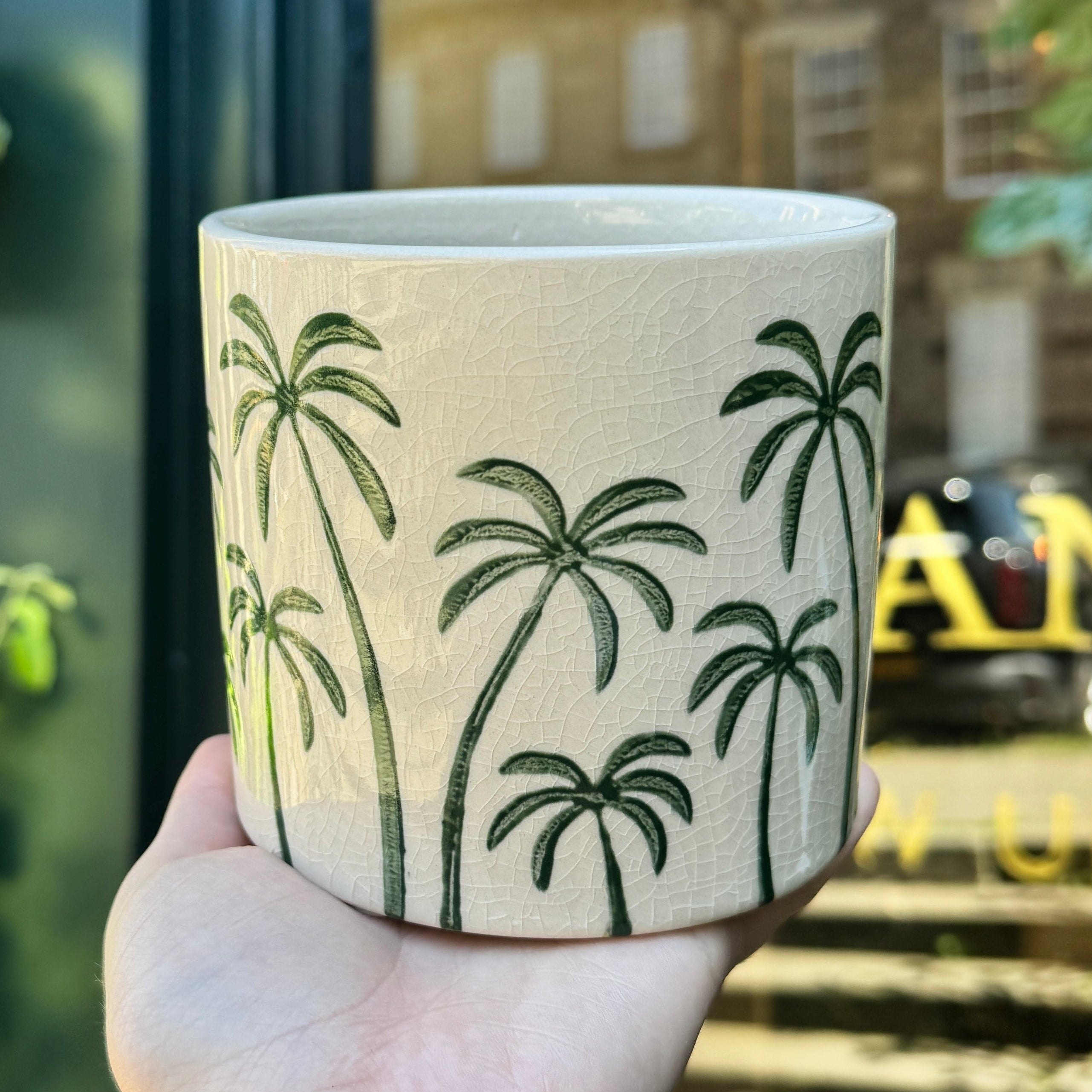 Green Palm Trees Plant Pot | 12cm