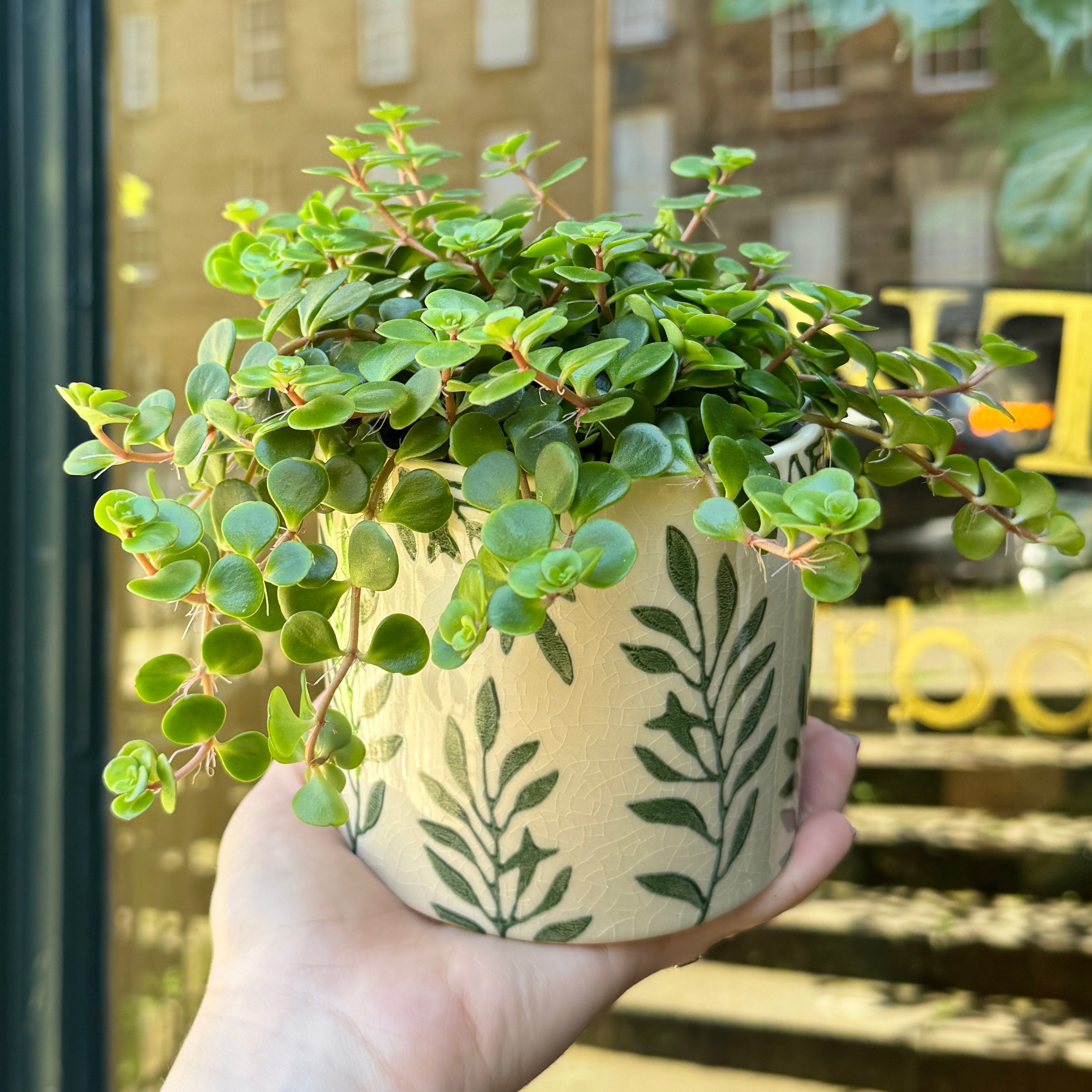 Green Leaves Plant Pot | 12cm