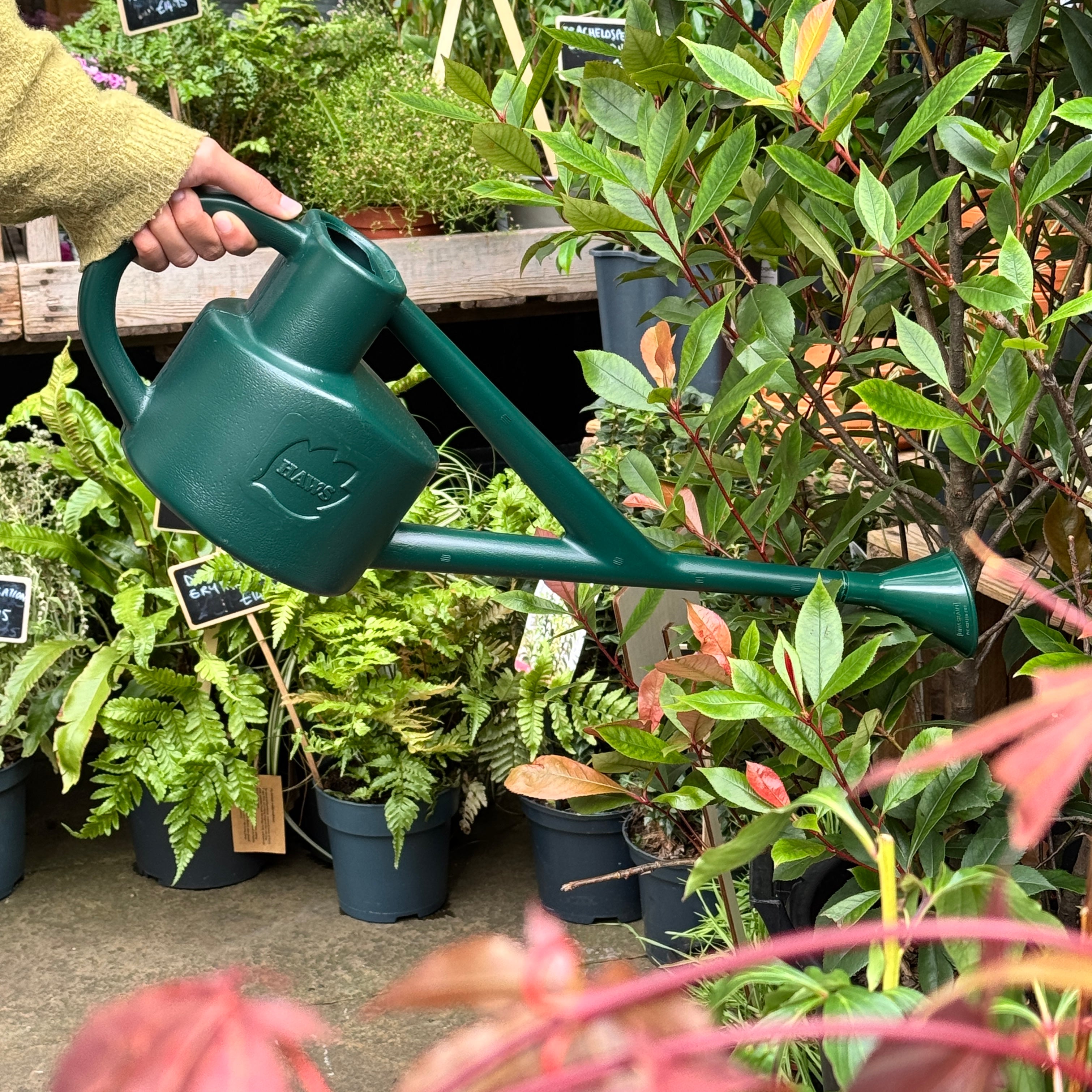 Haws | The Selly Soak Green - One Gallon