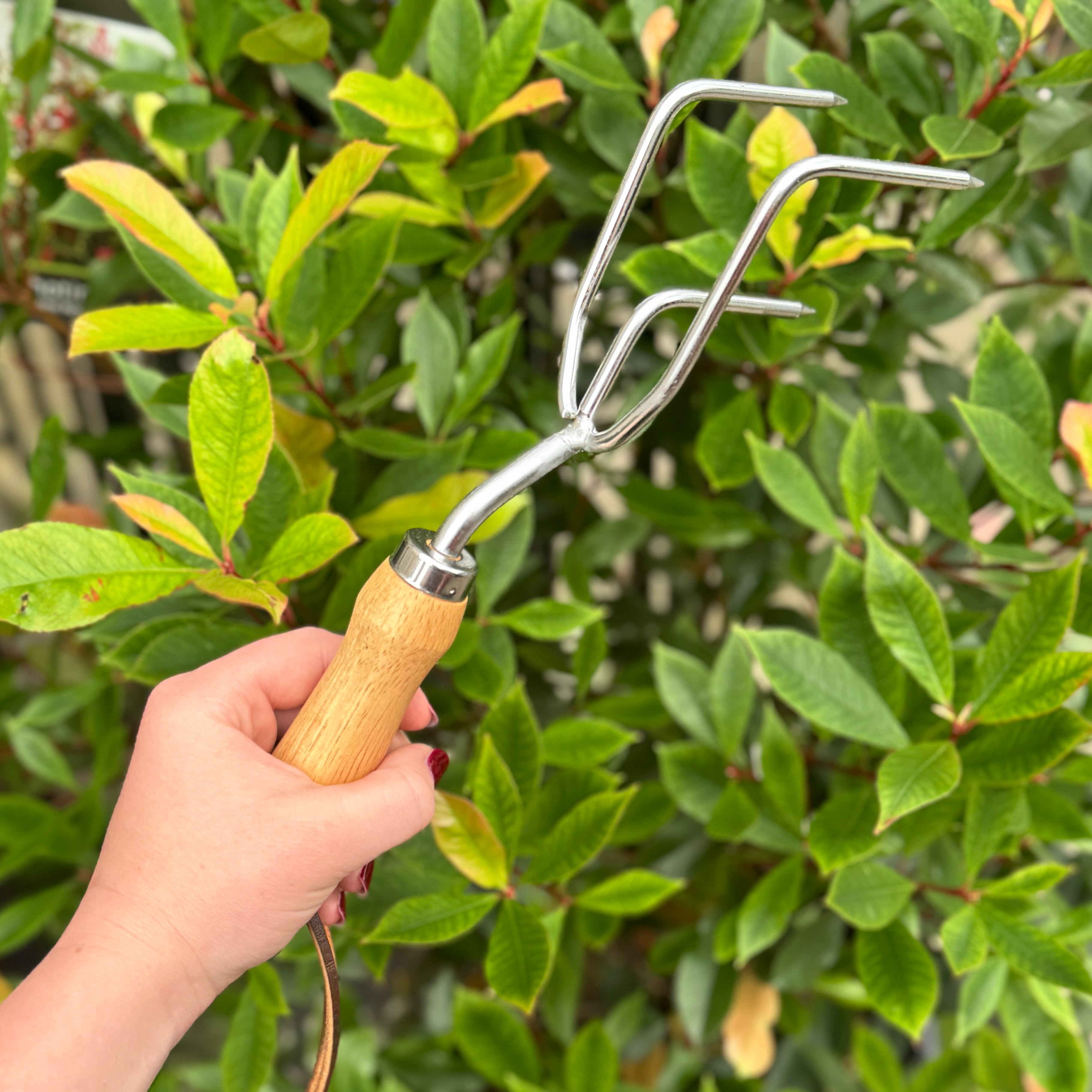 Claw Cultivator | RHS Endorsed
