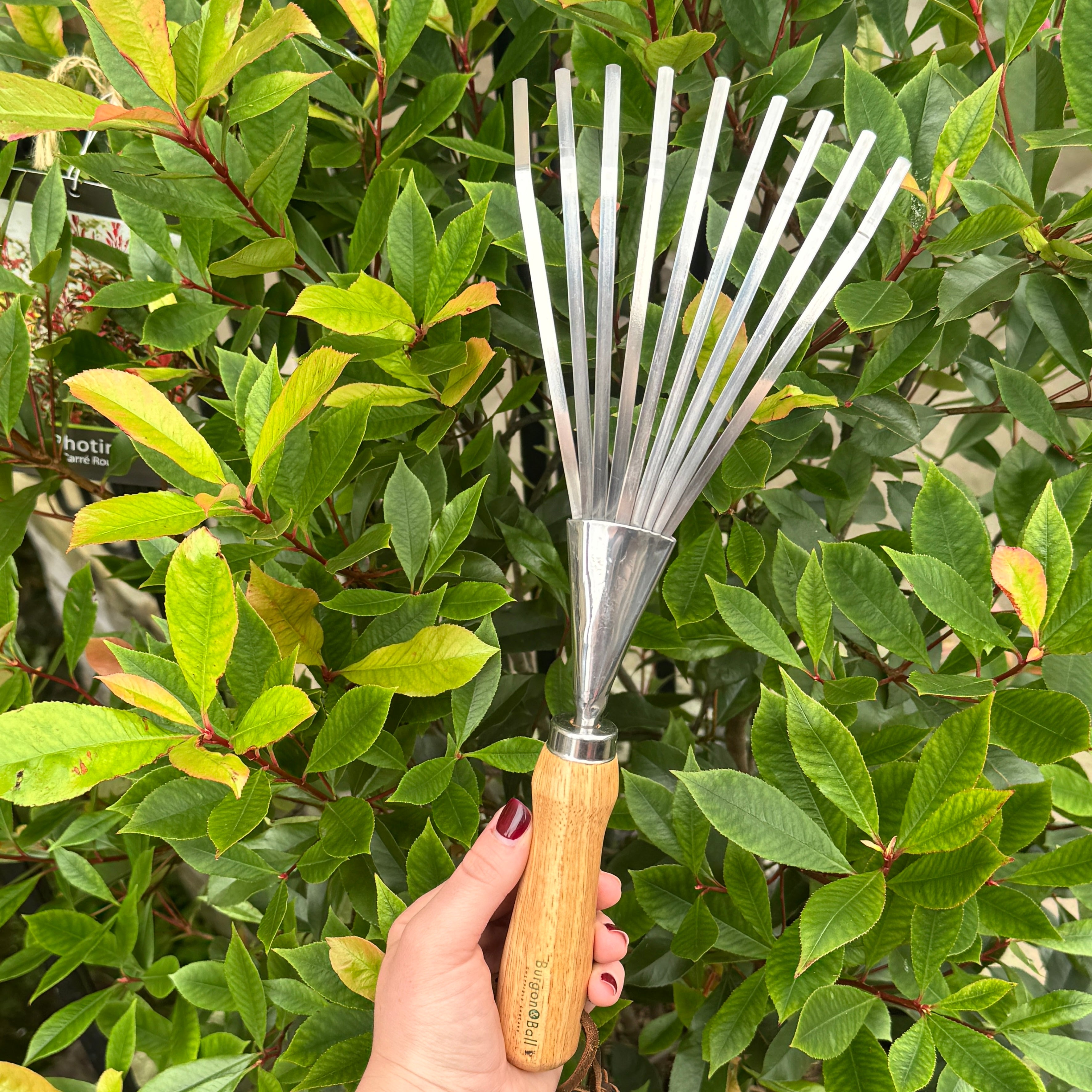 Shrub Rake | RHS Endorsed