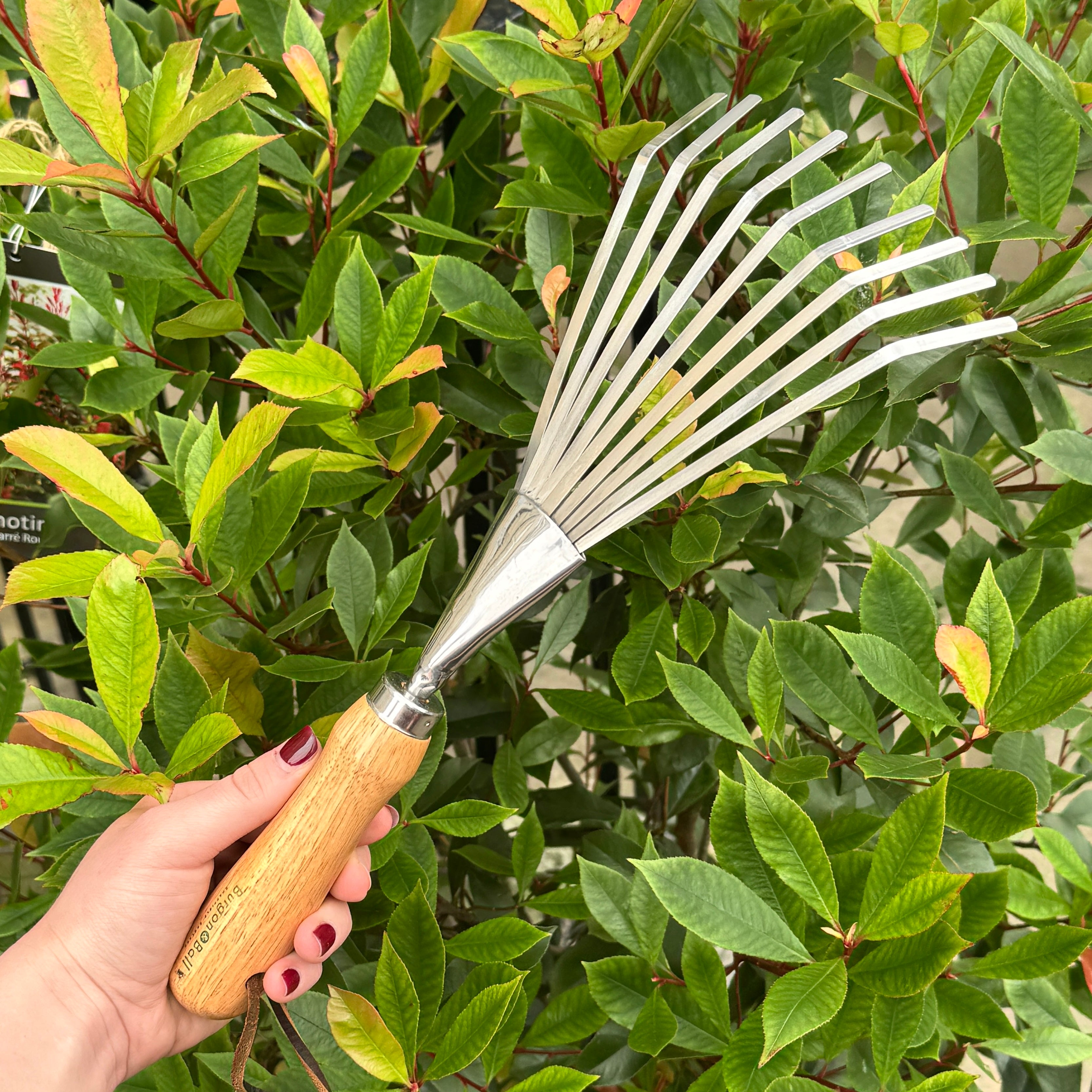 Shrub Rake | RHS Endorsed