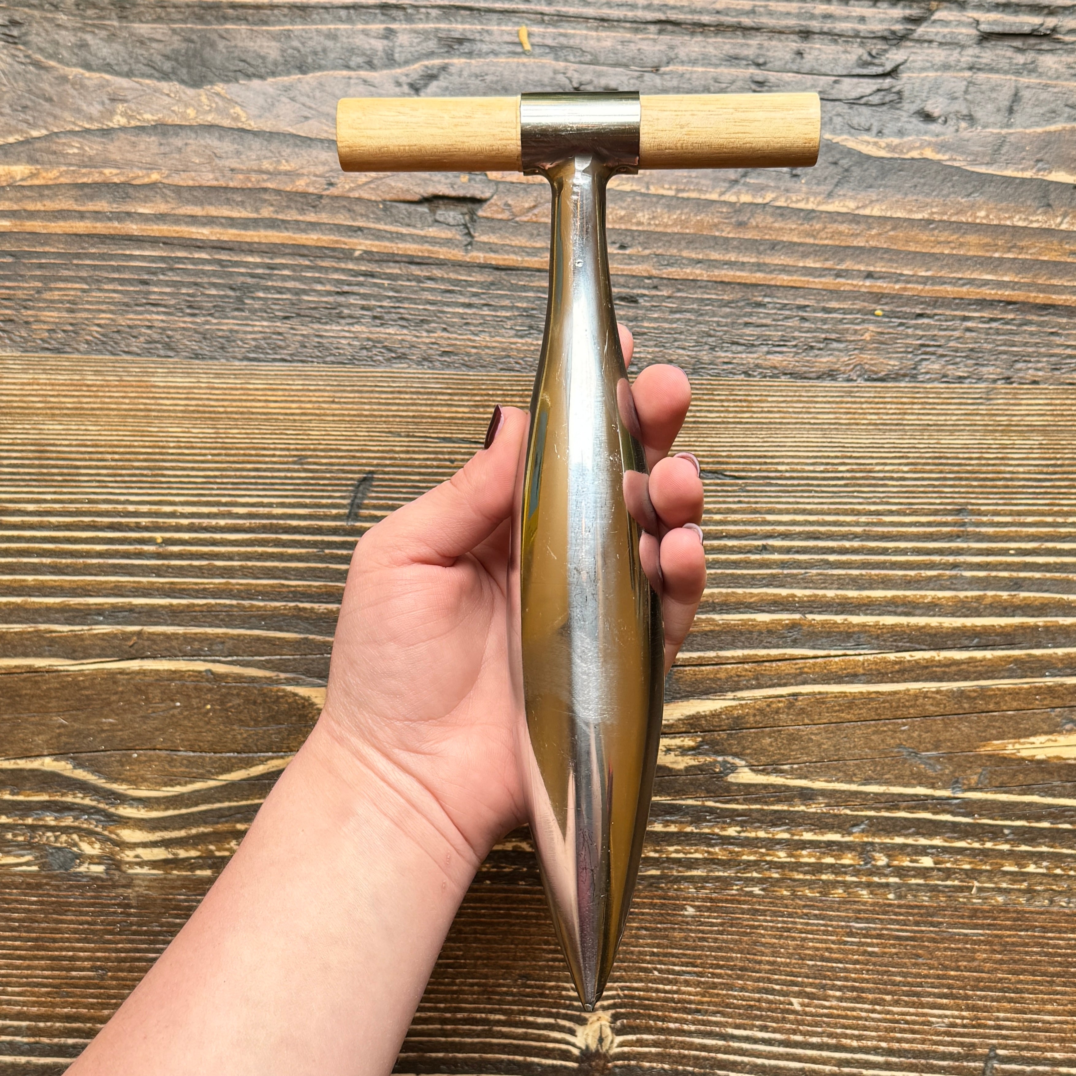Stainless Steel Dibber | RHS Endorsed
