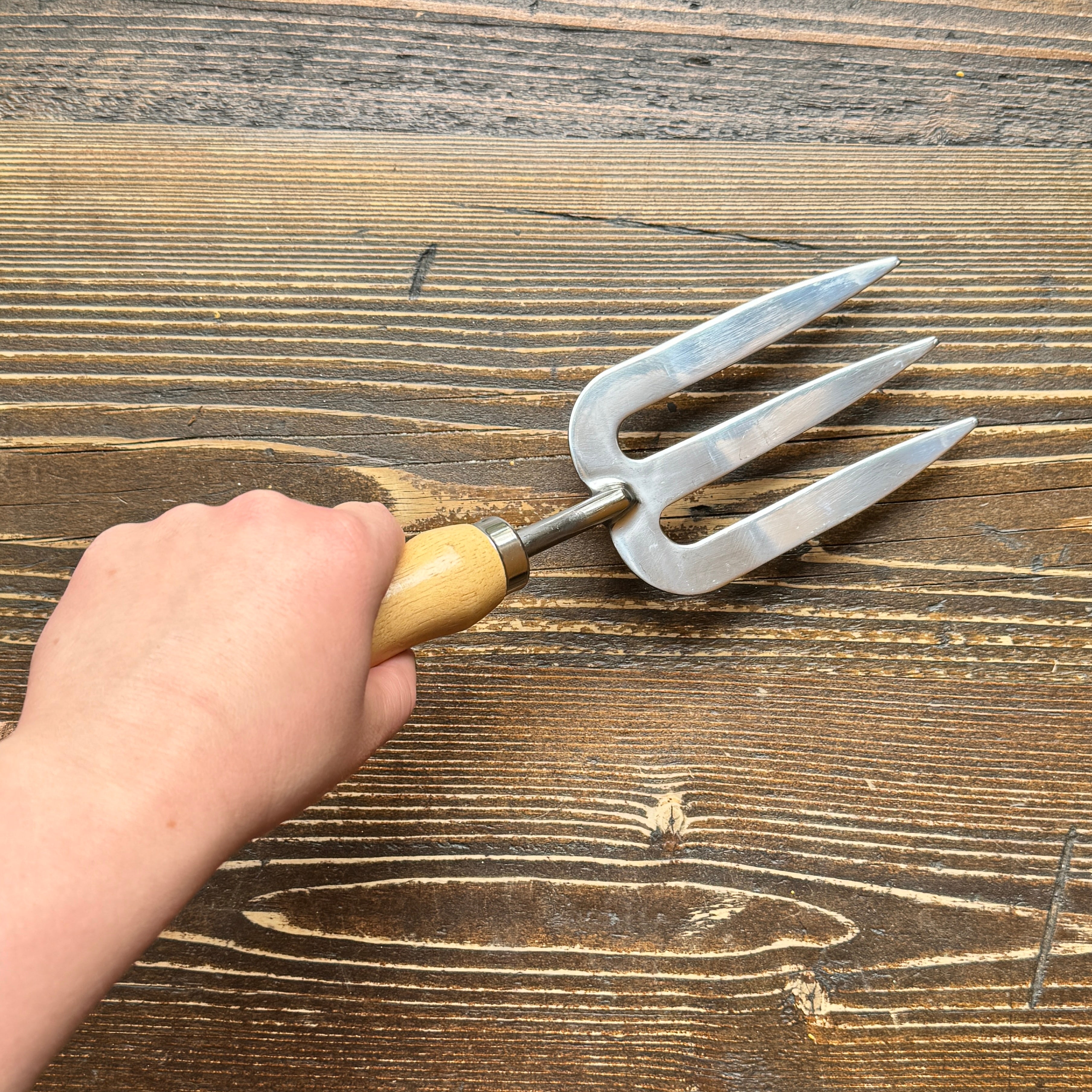 Hand Fork | RHS Endorsed