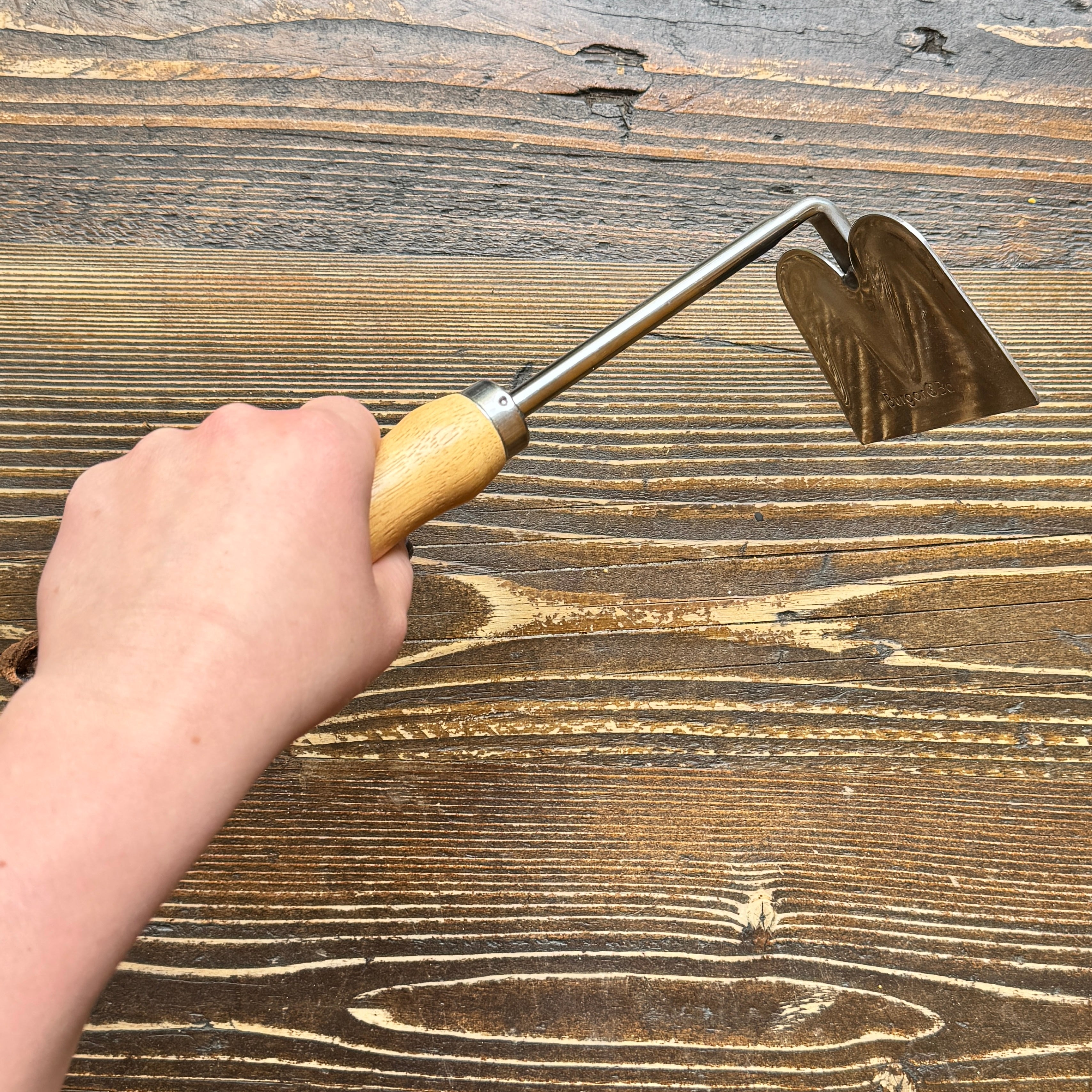 Hand Hoe | RHS Endorsed
