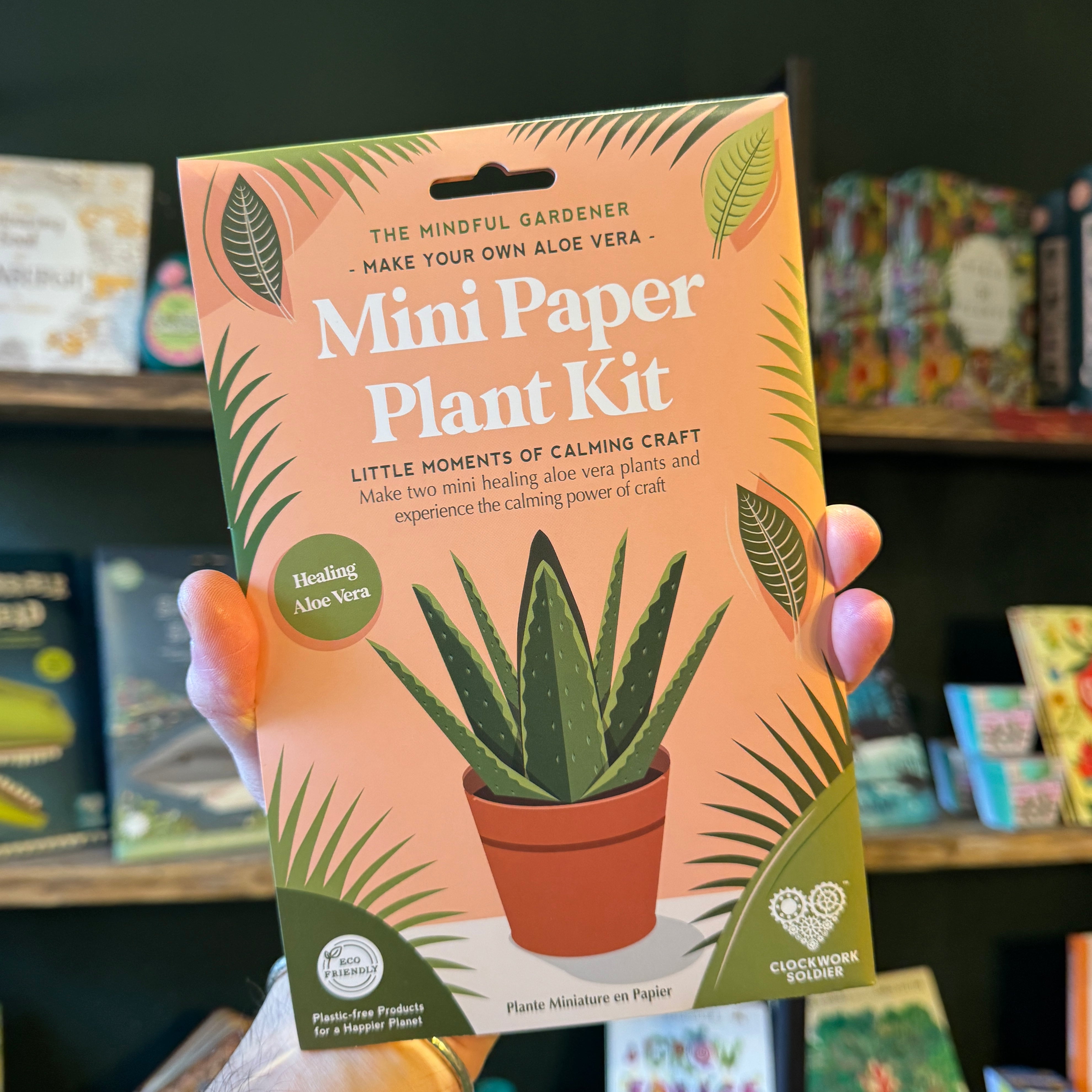 Make Your Own Healing Aloe Vera Paper Plant Kit