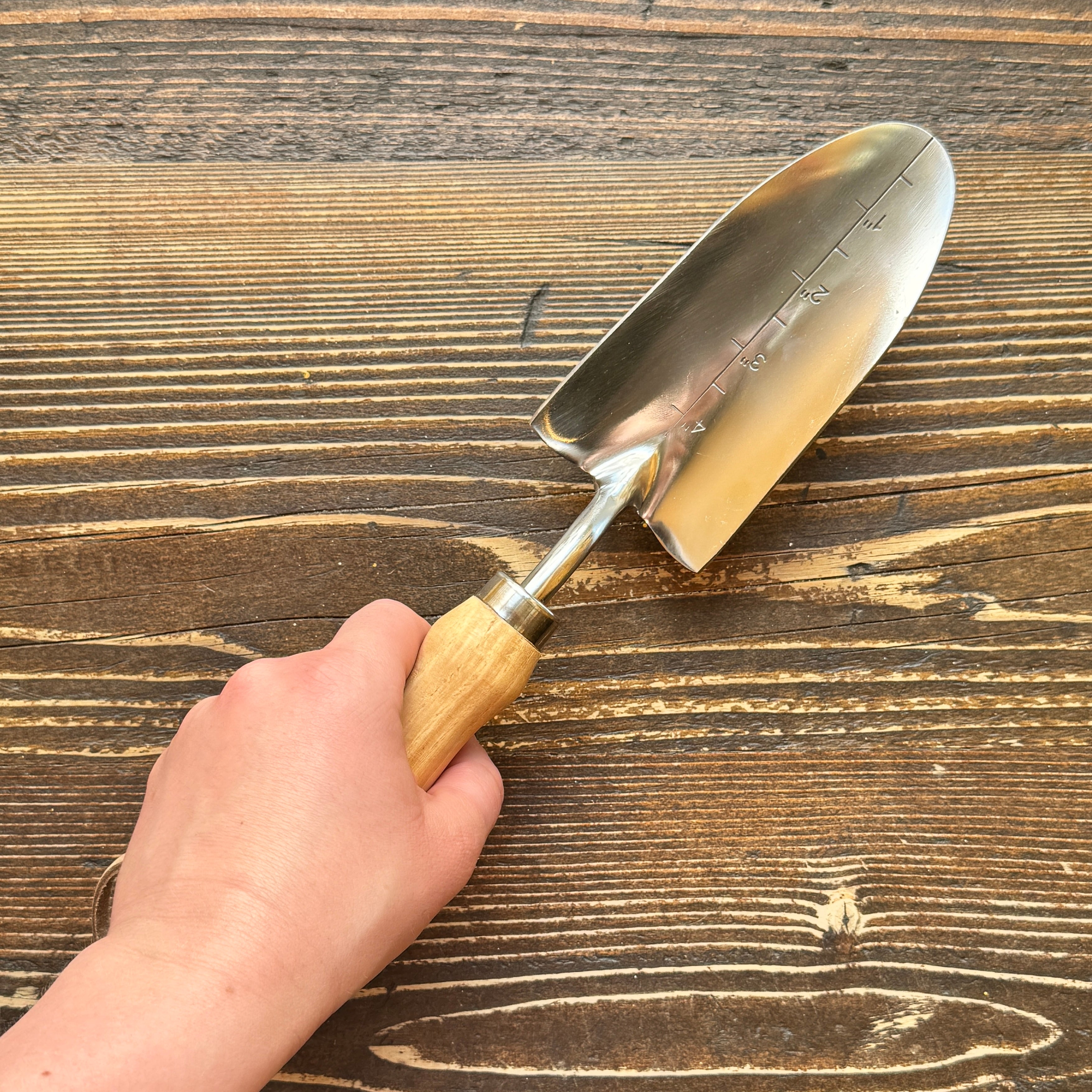 Transplanter Trowel | RHS Endorsed