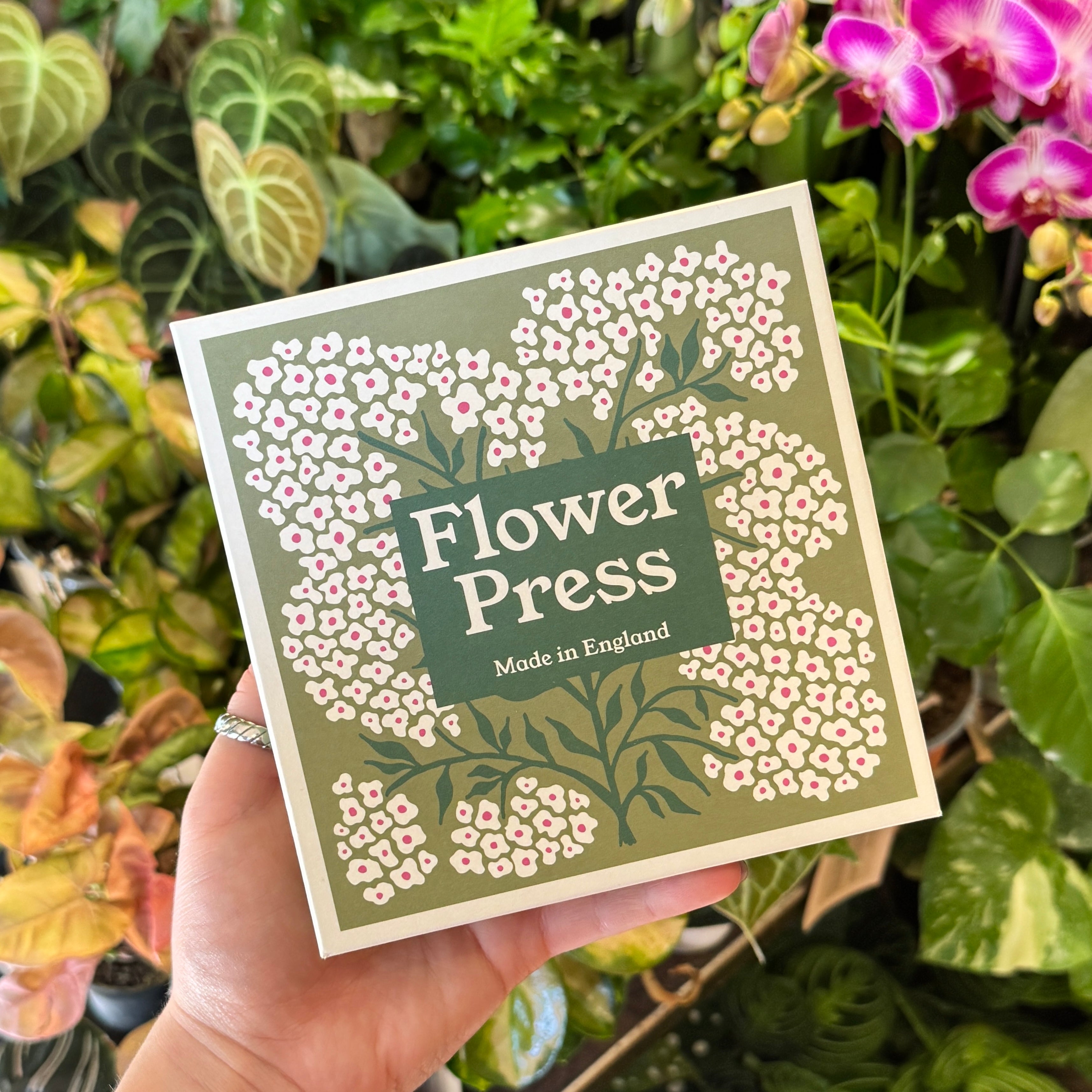 Flower Press – Forget Me Not | Studio Wald