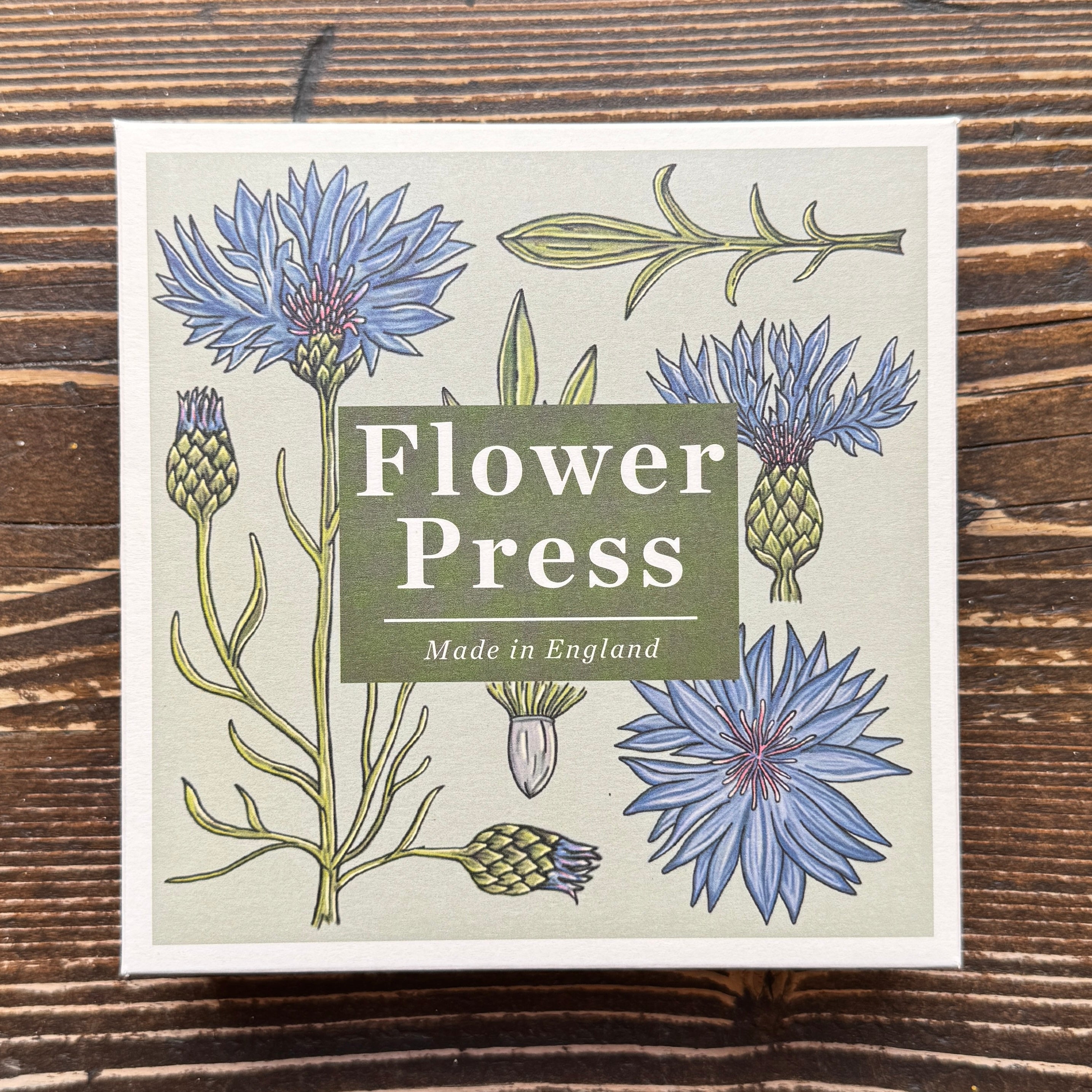 Flower Press – Vintage Cornflower | Studio Wald