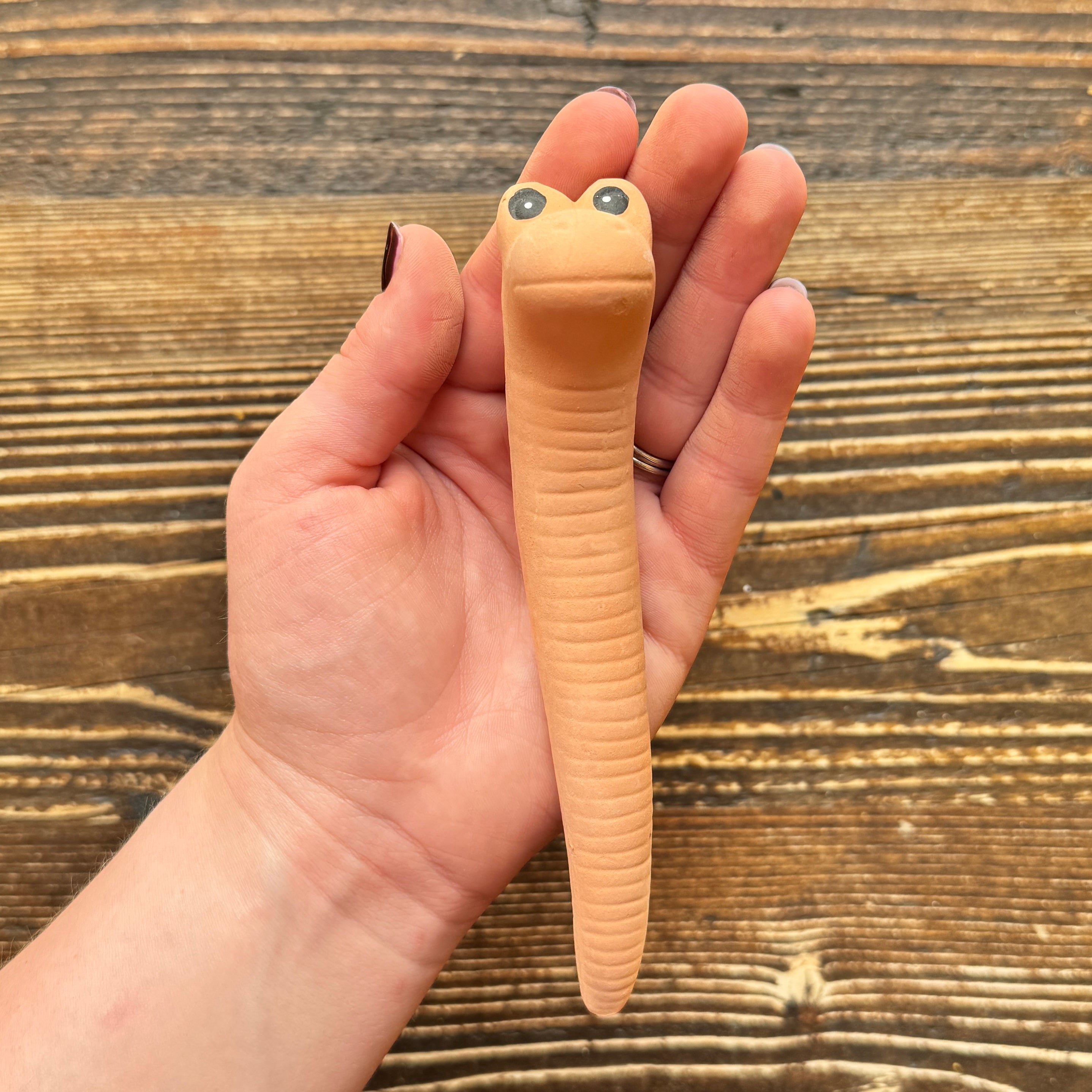 Willy the Worm: Plant Watering Sensor