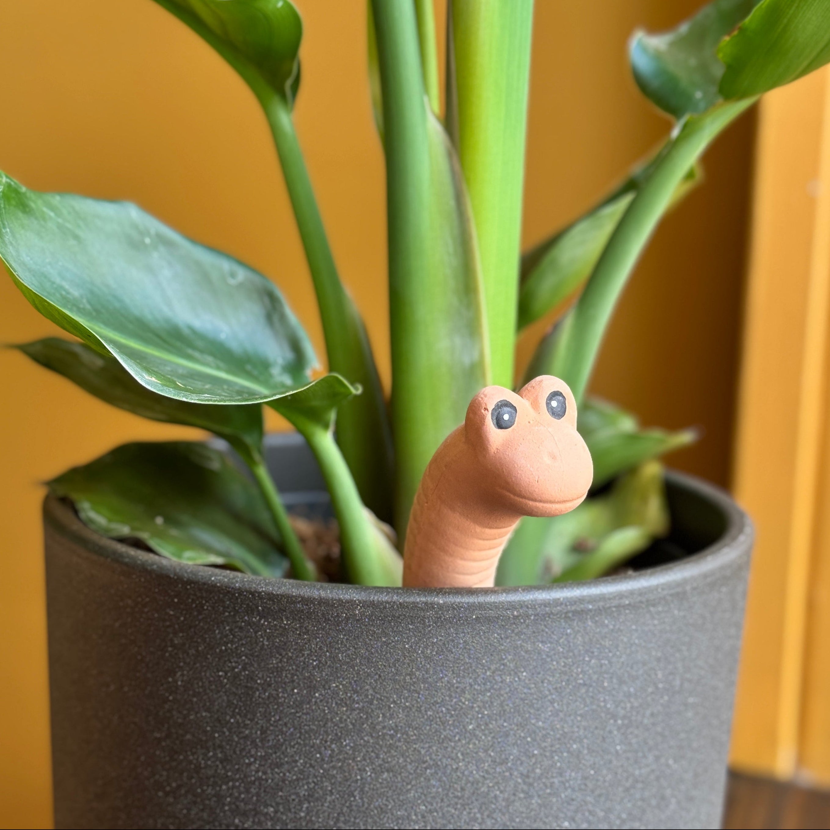 Willy the Worm: Plant Watering Sensor