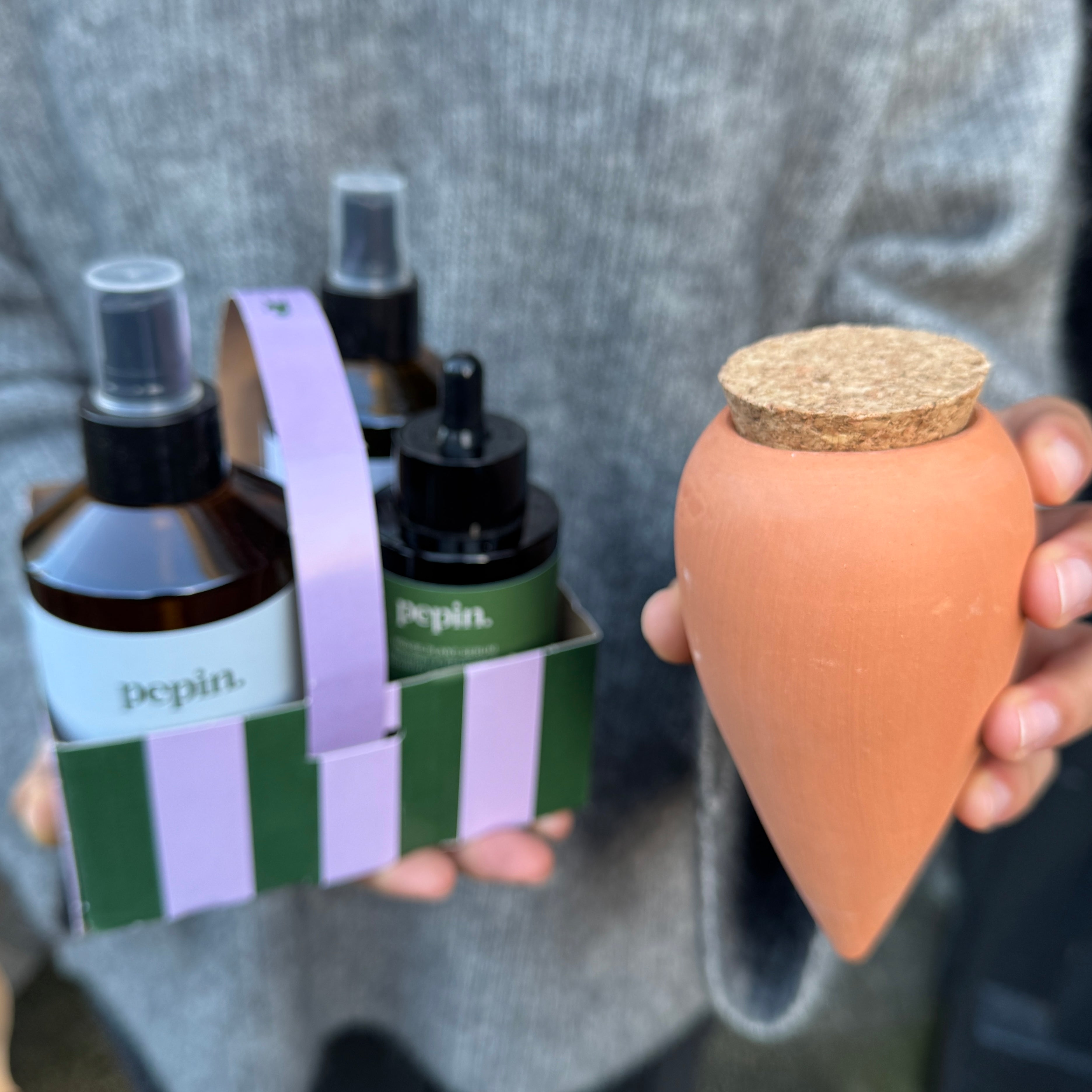 Pepin Plant Care Routine – Complete Indoor Plant Care Kit