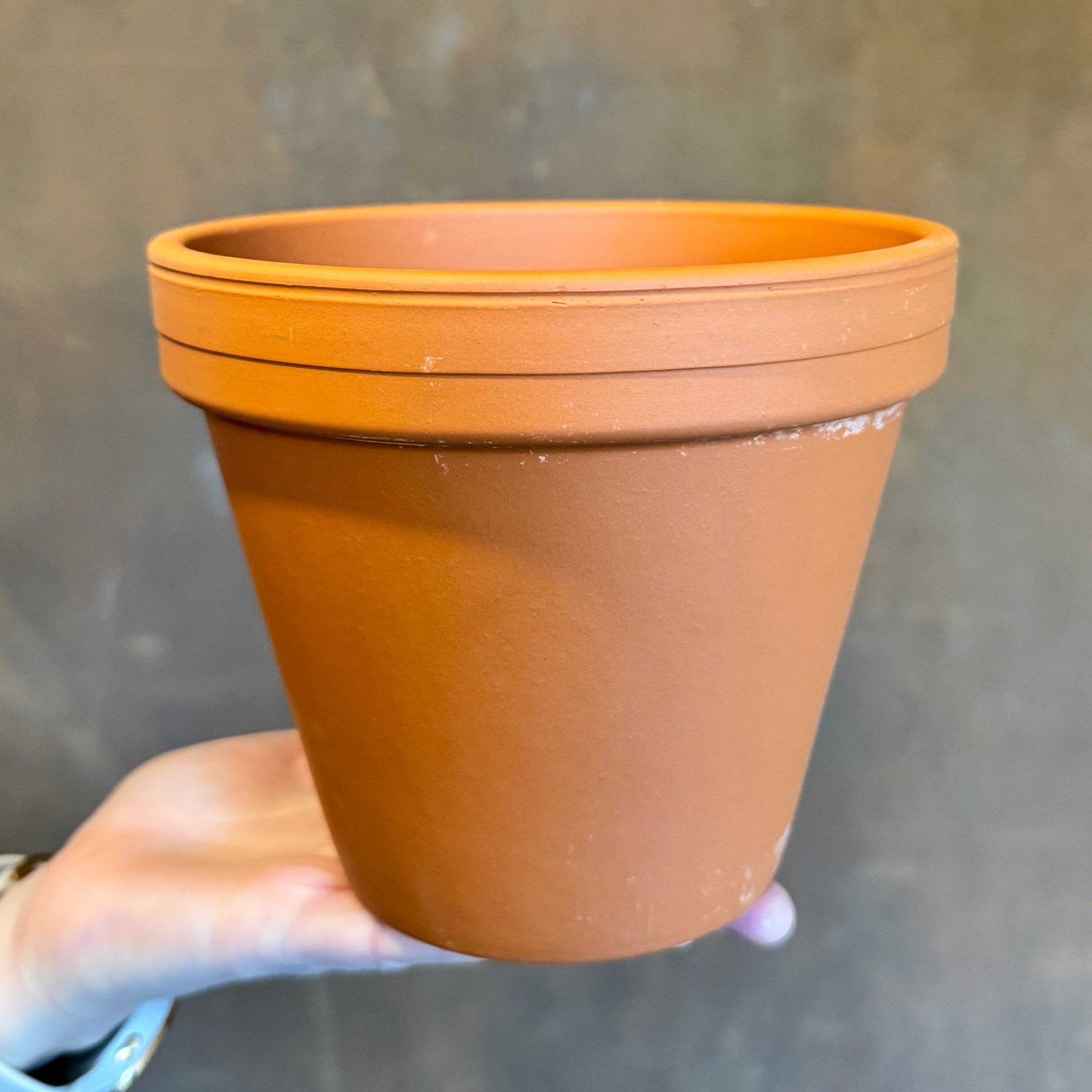 Terracotta Pots