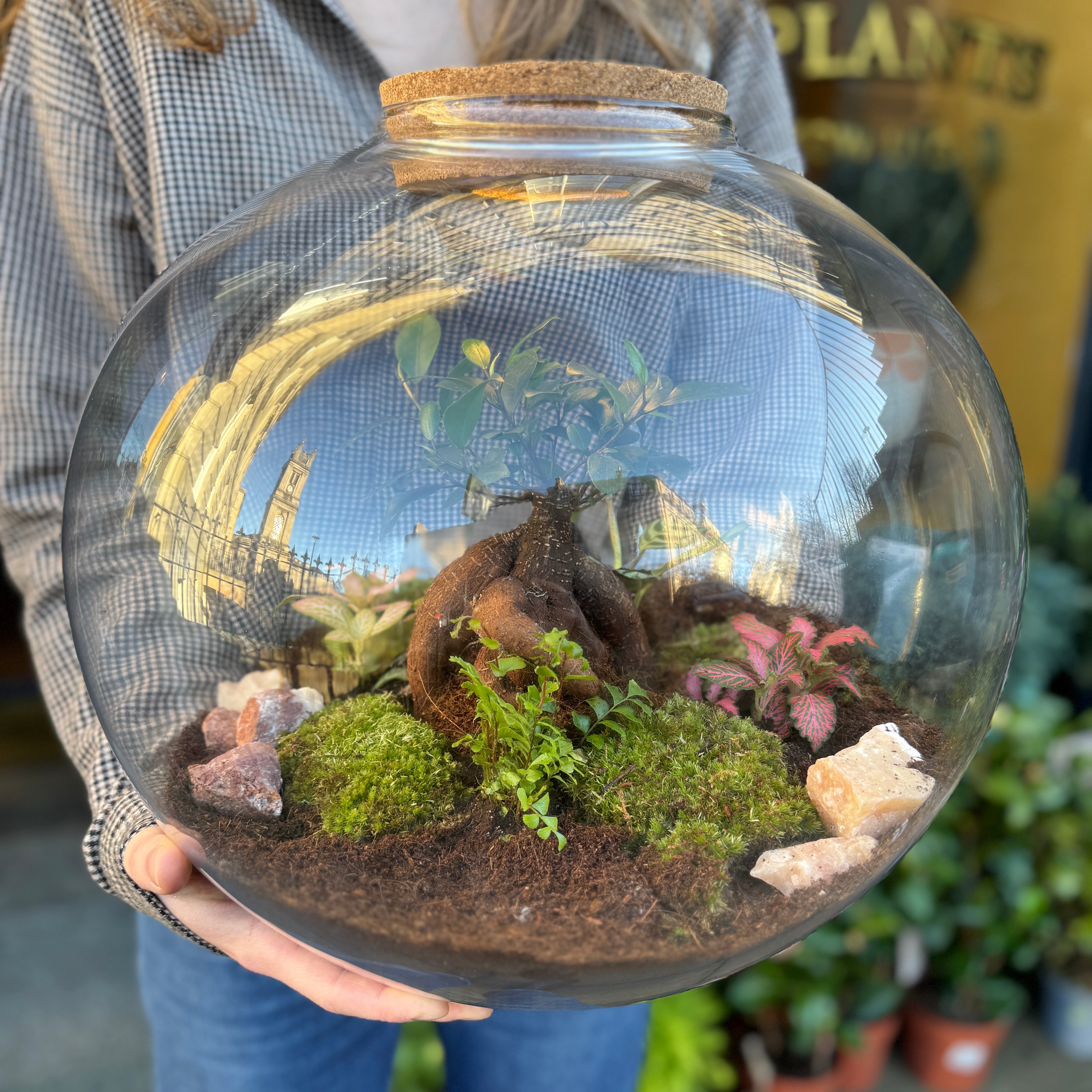 Giant Terrarium with LED Light