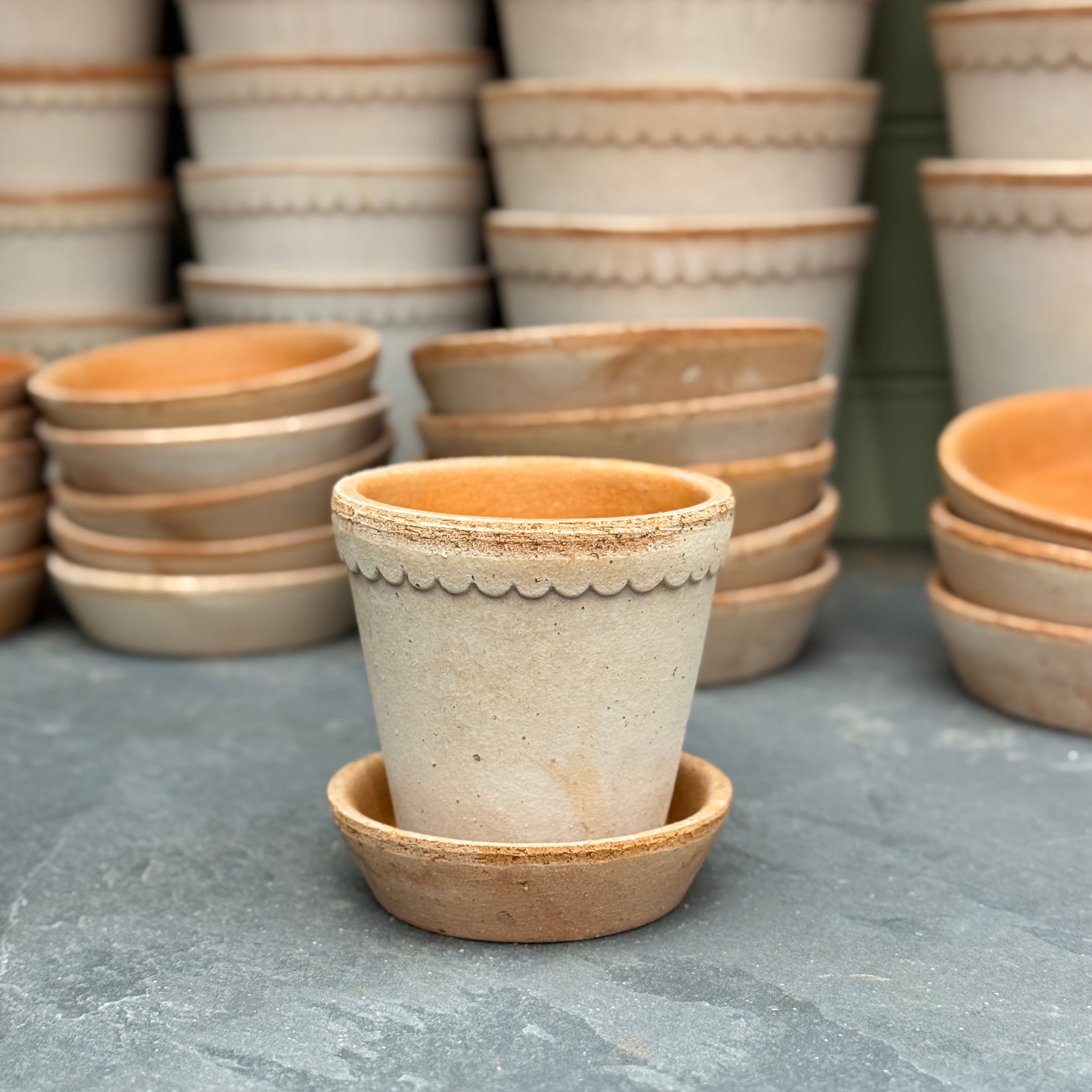 Bergs Potter Helena Pot & Saucer Set – Rosa Terracotta