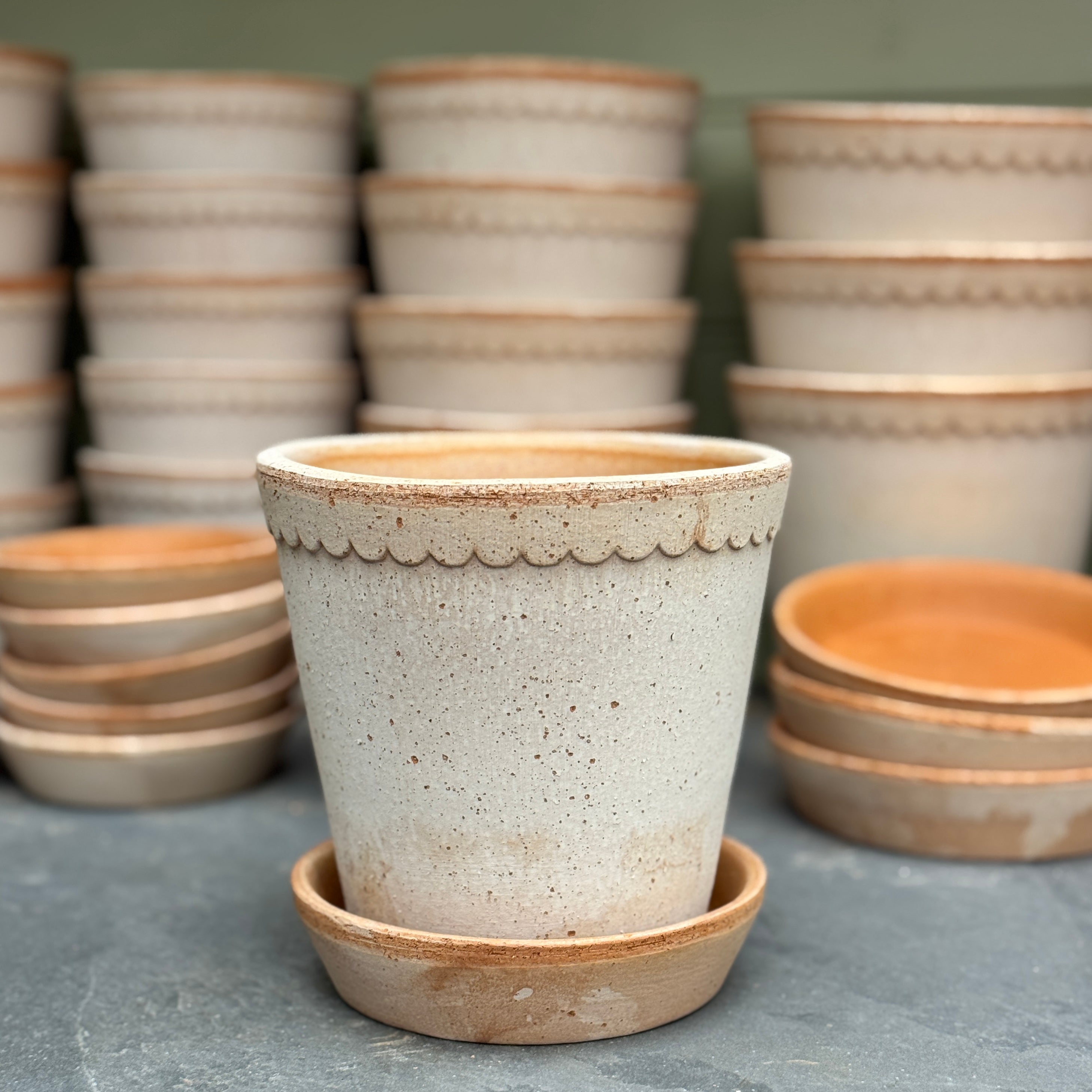 Bergs Potter Helena Pot & Saucer Set – Rosa Terracotta