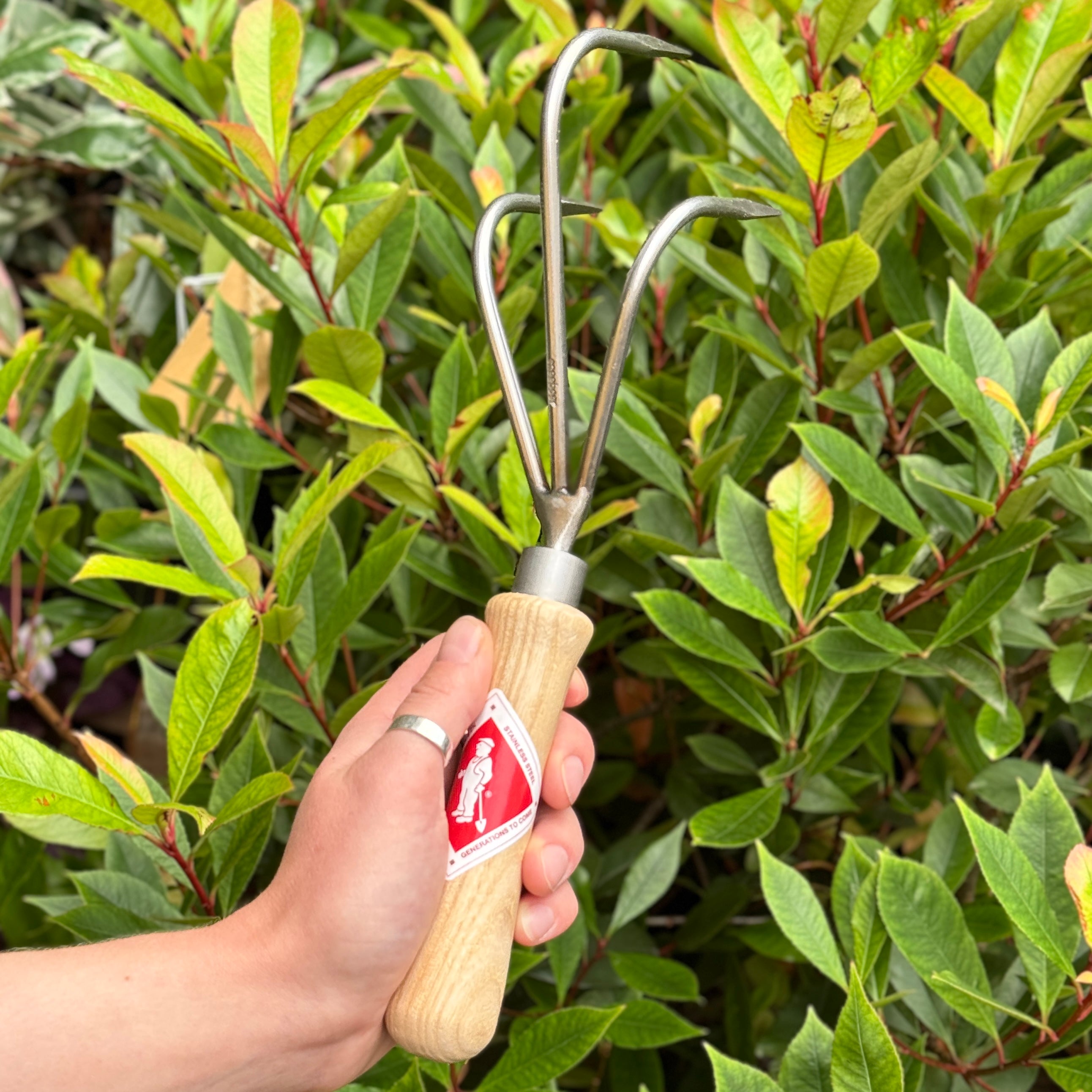 Hand Cultivator 3-Tine | Sneeboer