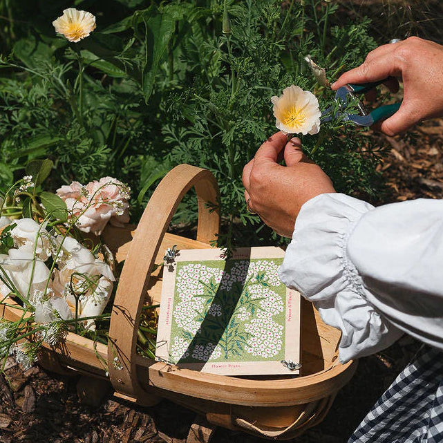 Flower Press – Forget Me Not | Studio Wald