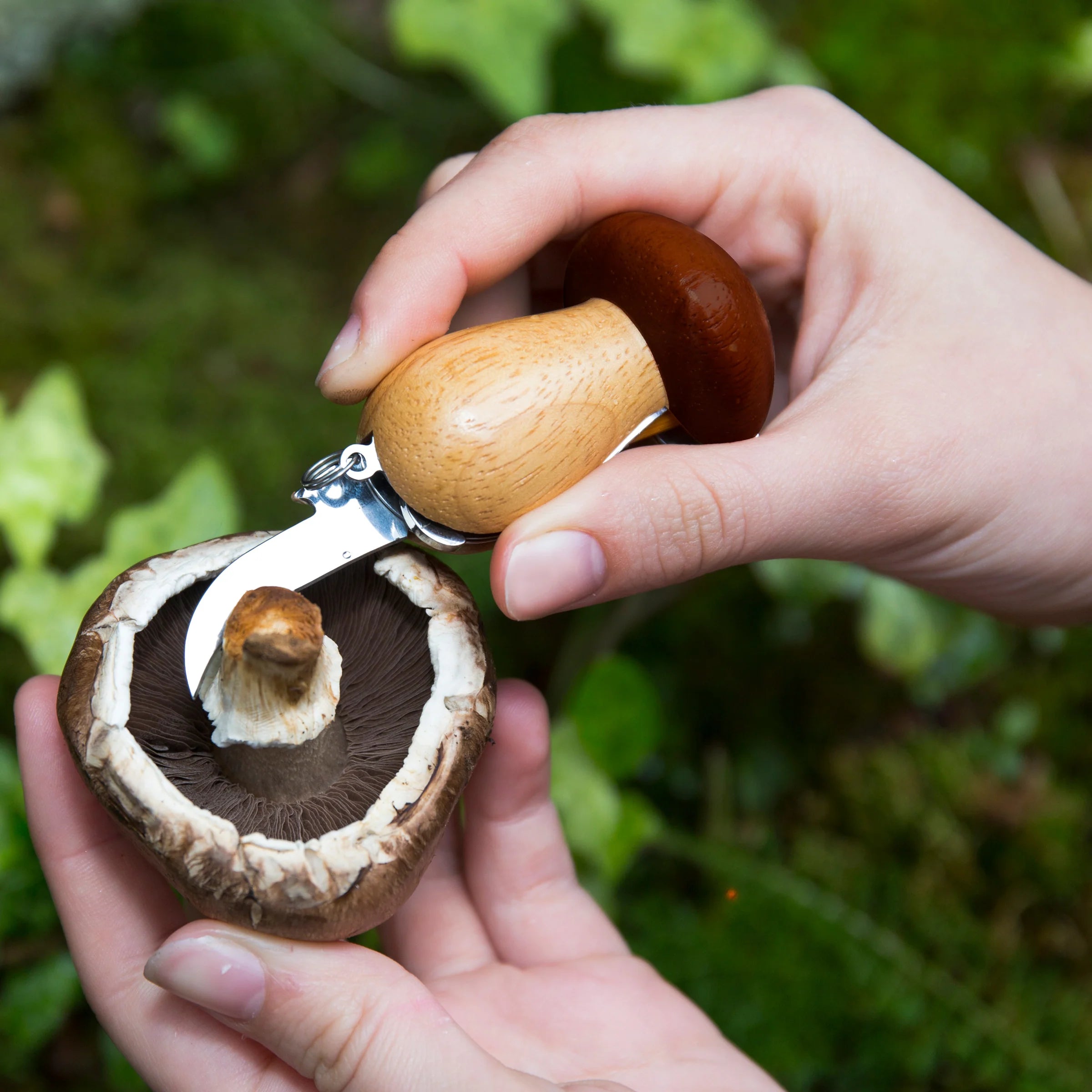 Mushroom Foraging Tool Keychain