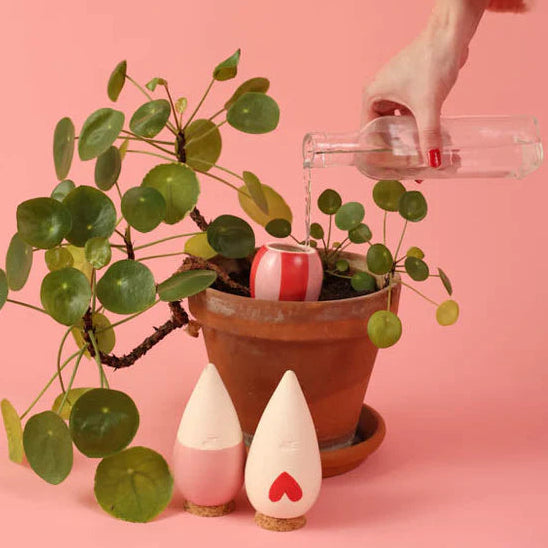 Pepin Trio Mini Ollas – Lovers Plant Gift Set