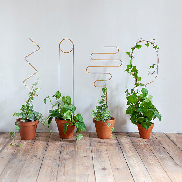 potted plant stabilizer Golden Plant Stakes by Botanopia – grow urban