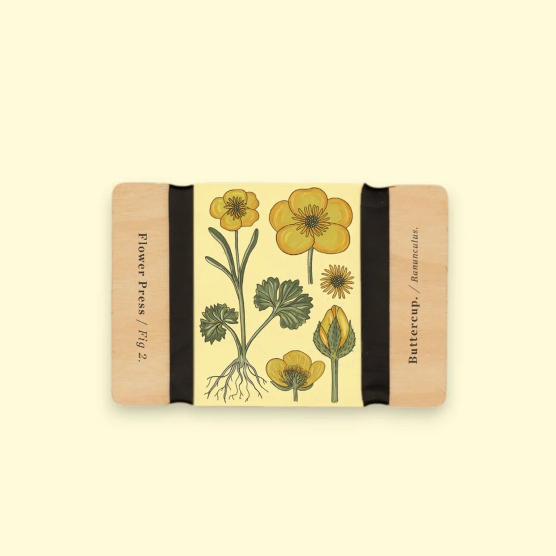 Pocket Flower Press – Vintage Buttercup | Studio Wald