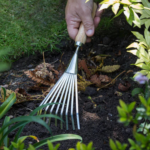 Shrub Rake – RHS Endorsed Stainless Steel Tool