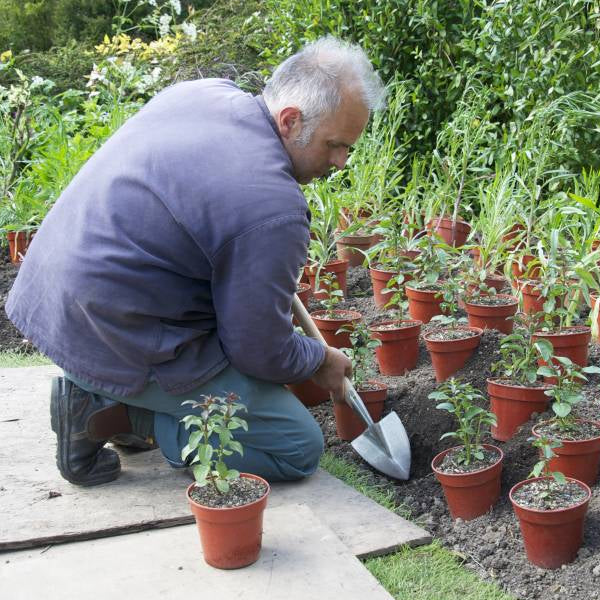 Man tending to potted plants in a garden setting using a Sneeboer Great Dixter Planting Spade.