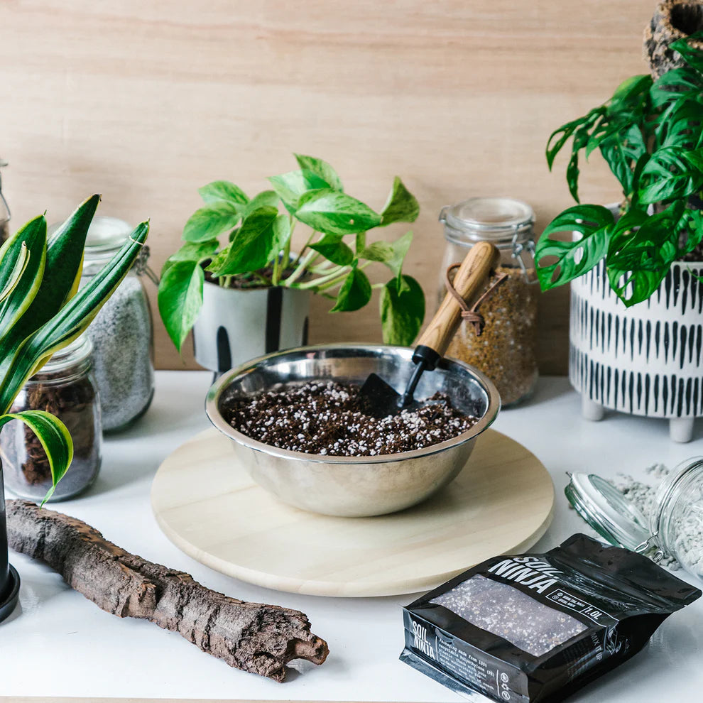 Soil Ninja Base Mix – Customisable Indoor Plant Compost