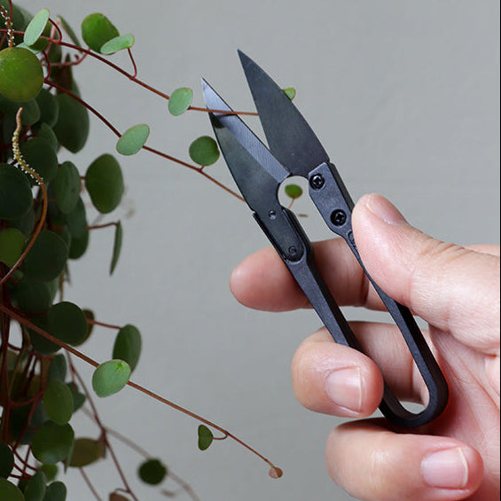Hand holding a pair of black pruning shears near a green plant.