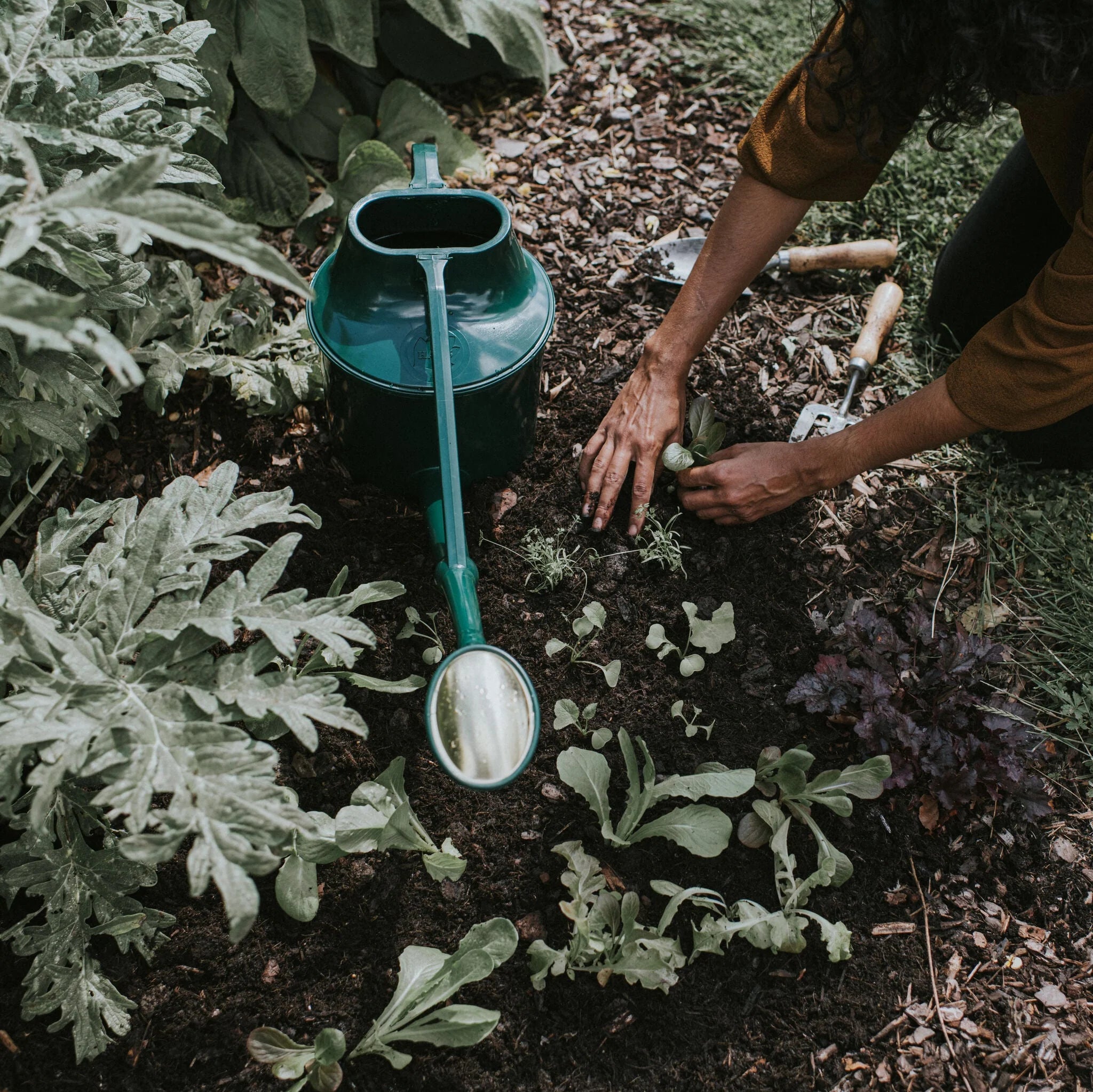 Haws | The Cradley Cascader | 1.5 Gallon Green Watering Can