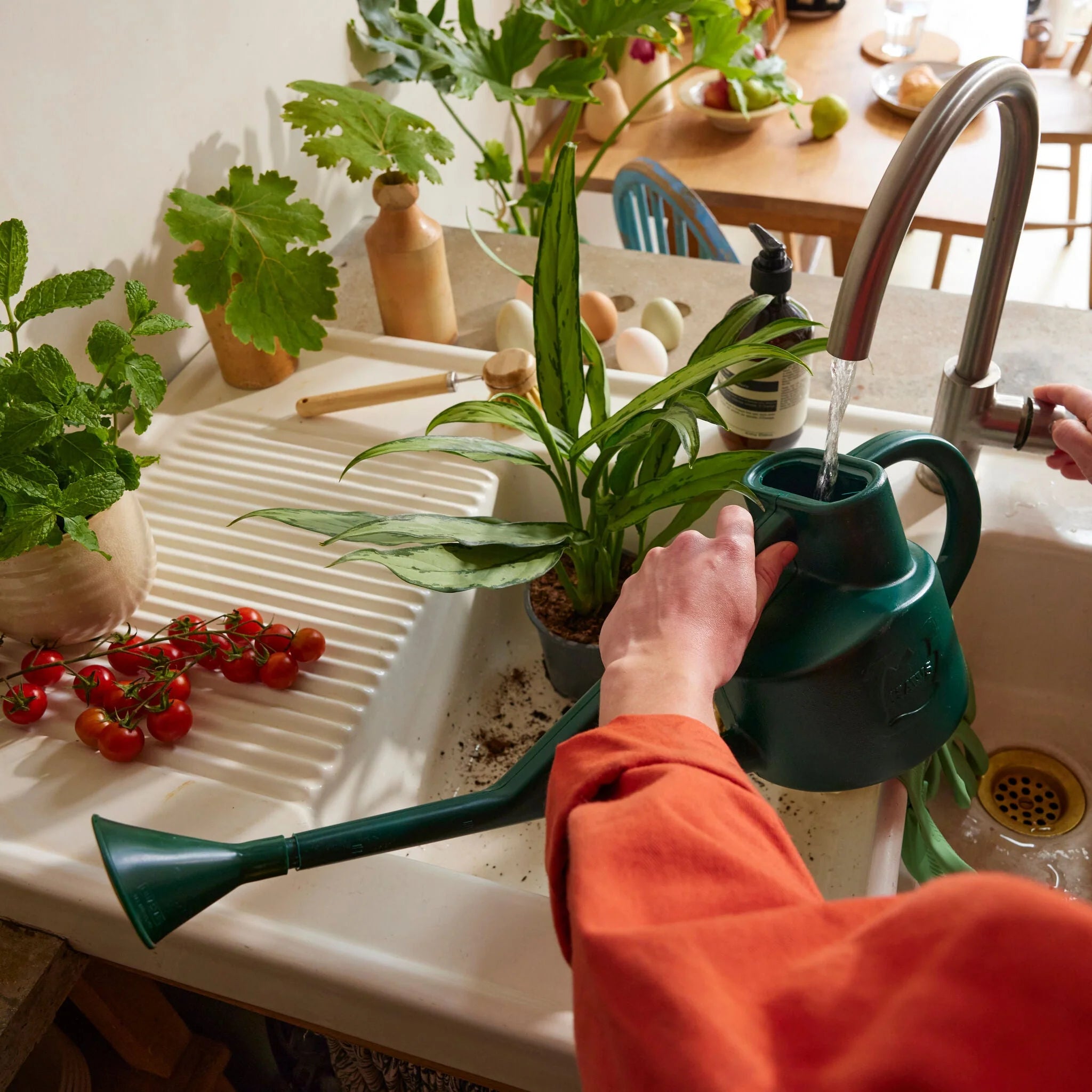 Haws | The Sutton Splash Green - Four Pint