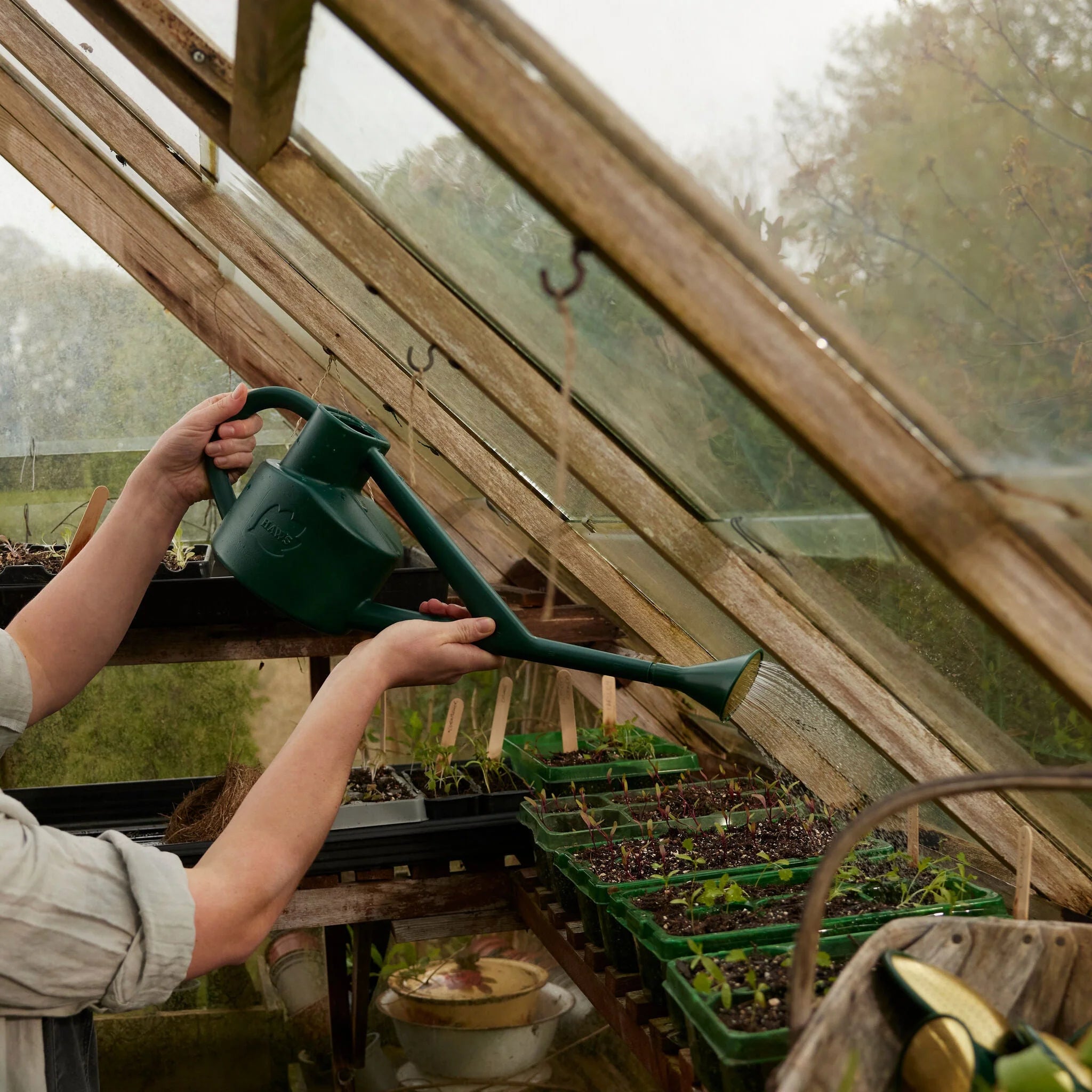 Haws | The Sutton Splash Green - Four Pint