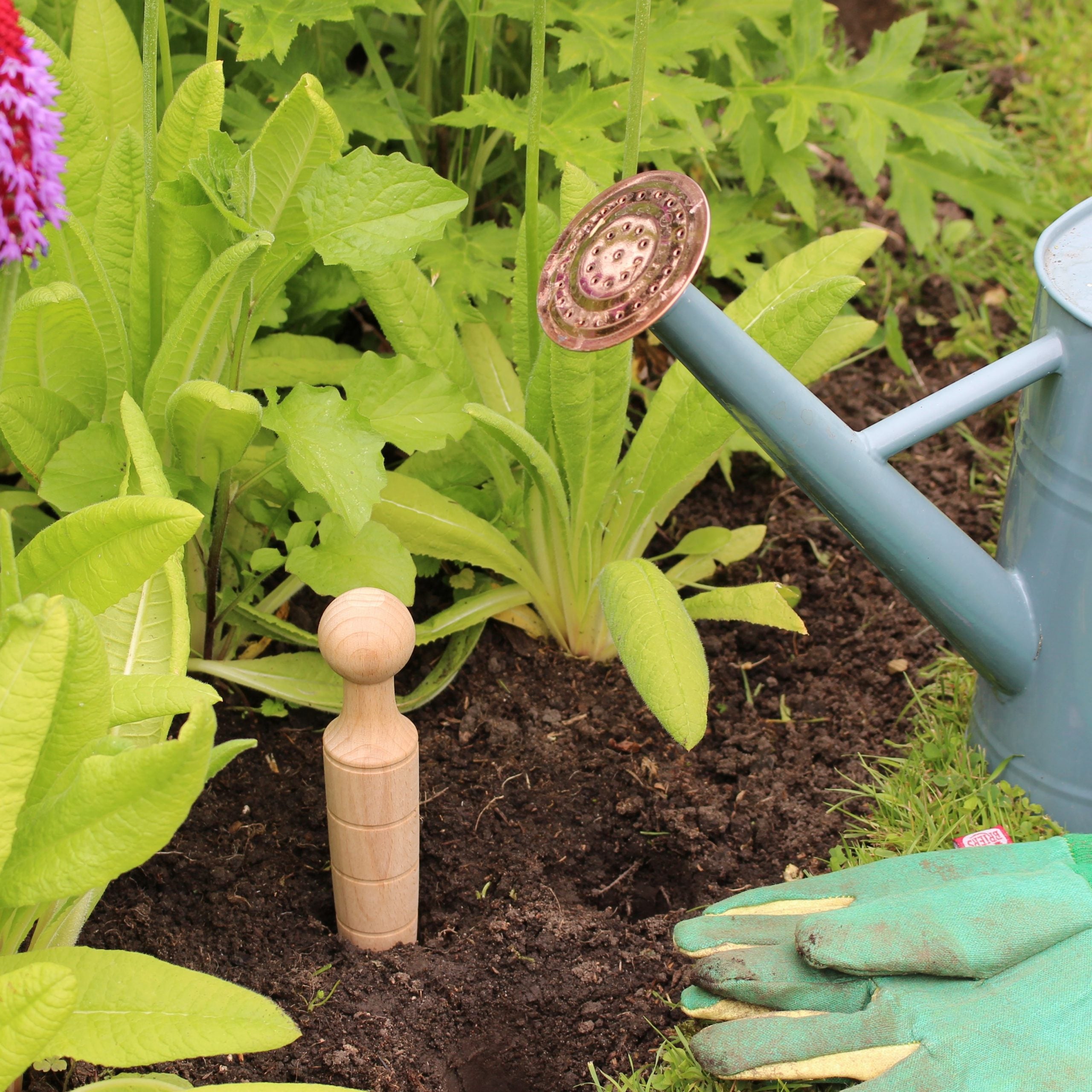 Beechwood Plant Dibber with Depth Markings