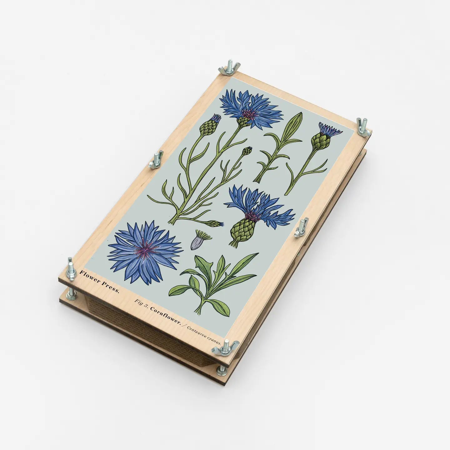 Large Flower Press – Vintage Cornflower | Studio Wald
