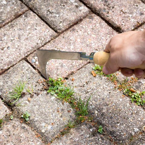 Block Paving Knife | RHS Endorsed