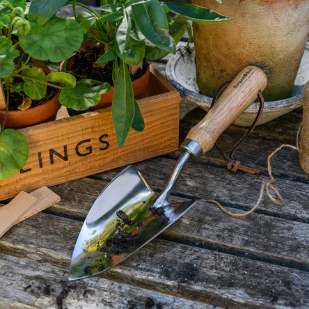 Burgon & Ball Groundbreaker Trowel on a wooden surface with plants and a box in the background