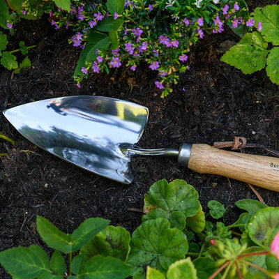 Gardening trowel with wooden handle on garden soil and plants