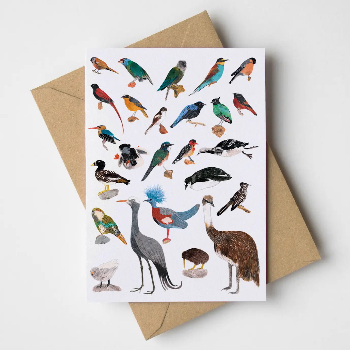 Greetings Cards | James Barker