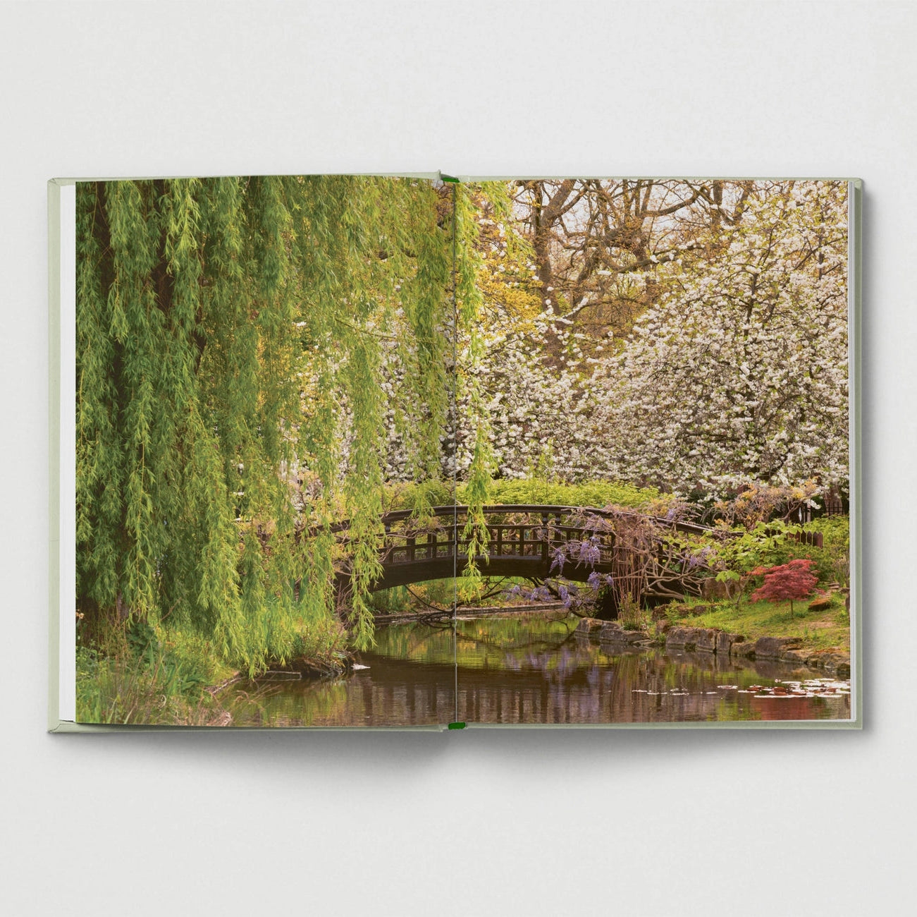Britain's Best Gardens