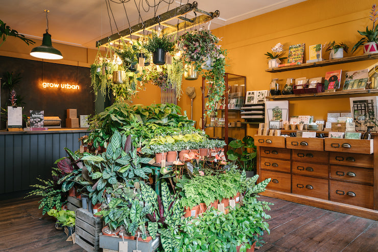 Interior of a plant shop with display of houseplants, gifts. Neon sign behind the counter.