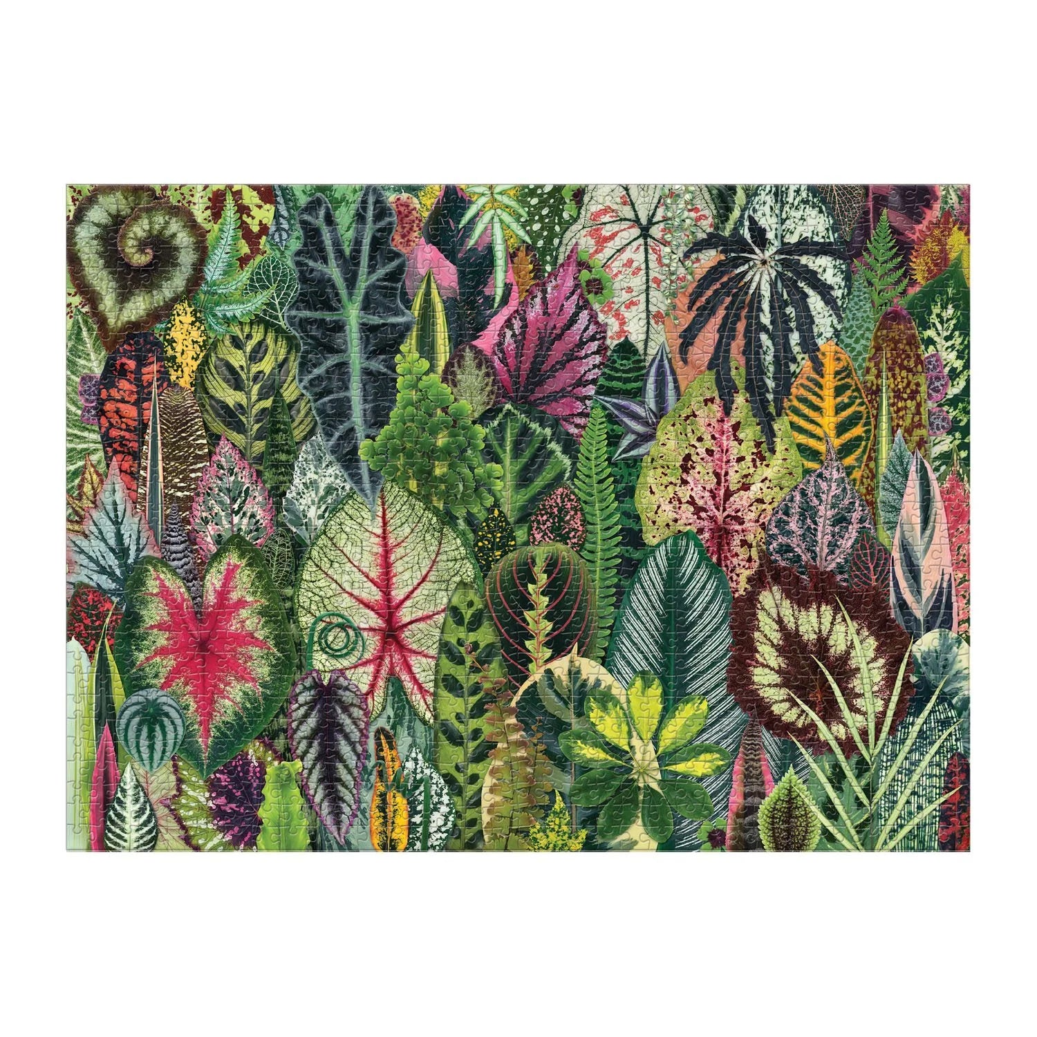 Houseplant Jungle Jigsaw Puzzle | 1000 Piece