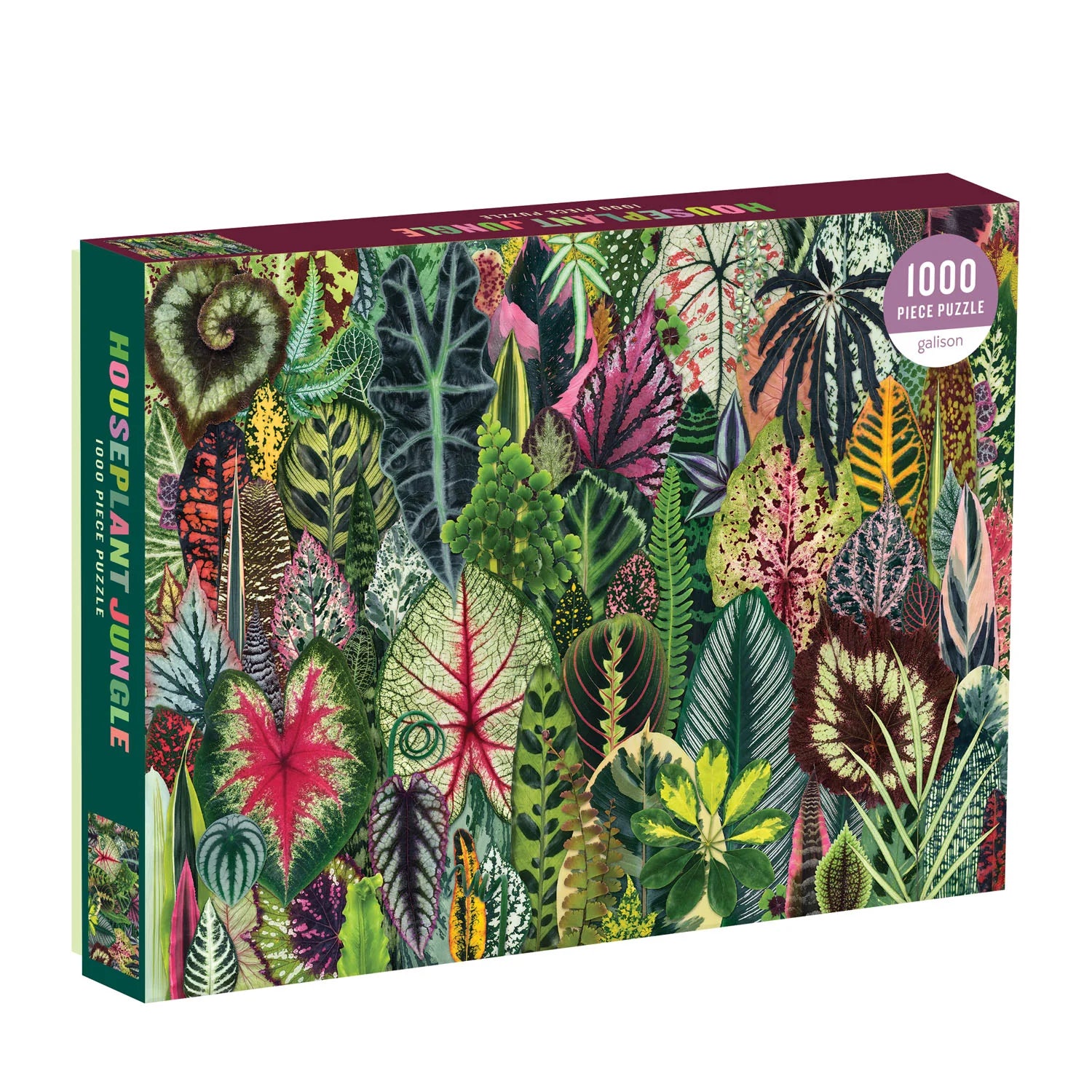 Houseplant Jungle Jigsaw Puzzle | 1000 Piece