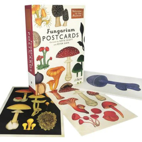 Fungarium Box of 50 Postcards