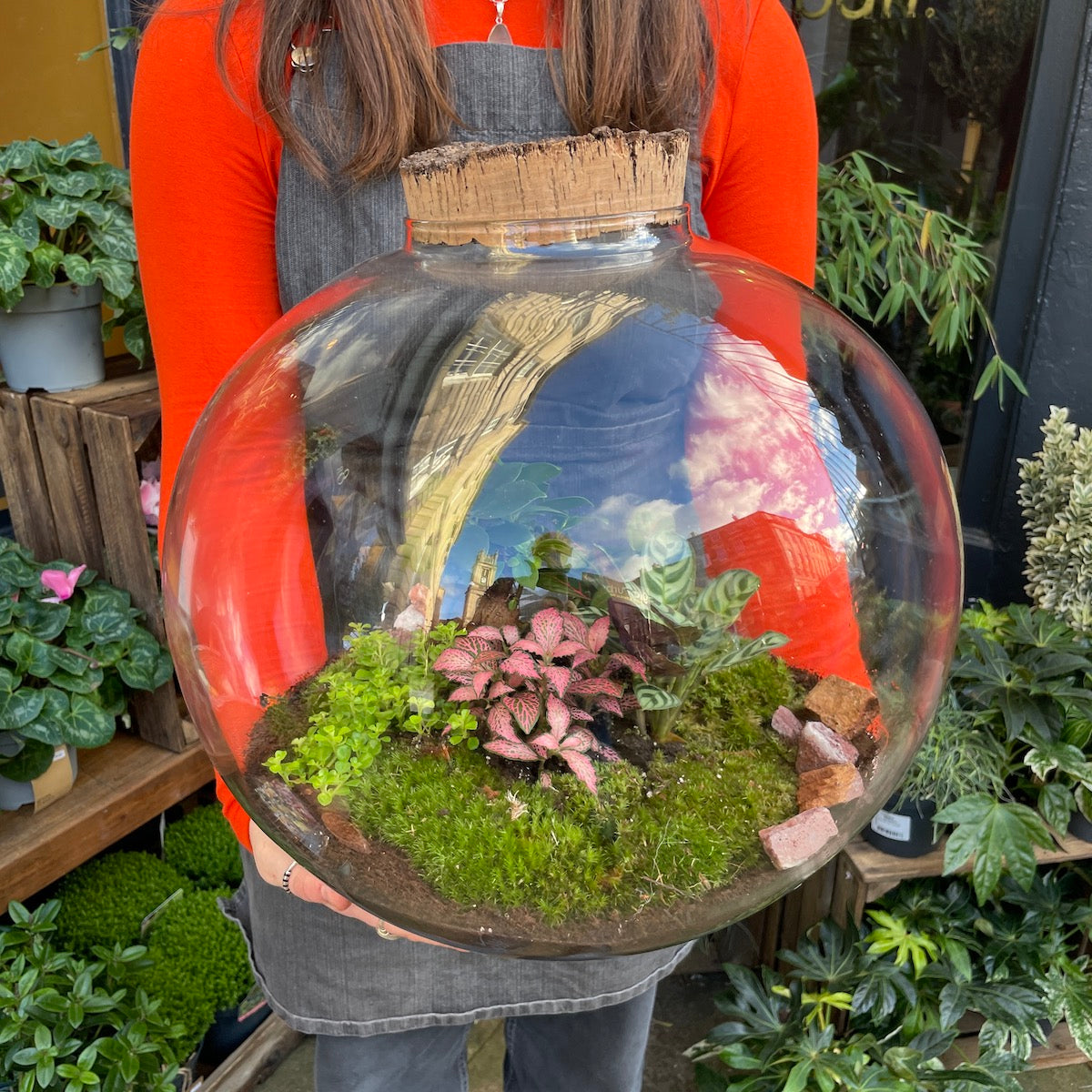 A large terrarium available for delivery in Edinburgh Scotland. 