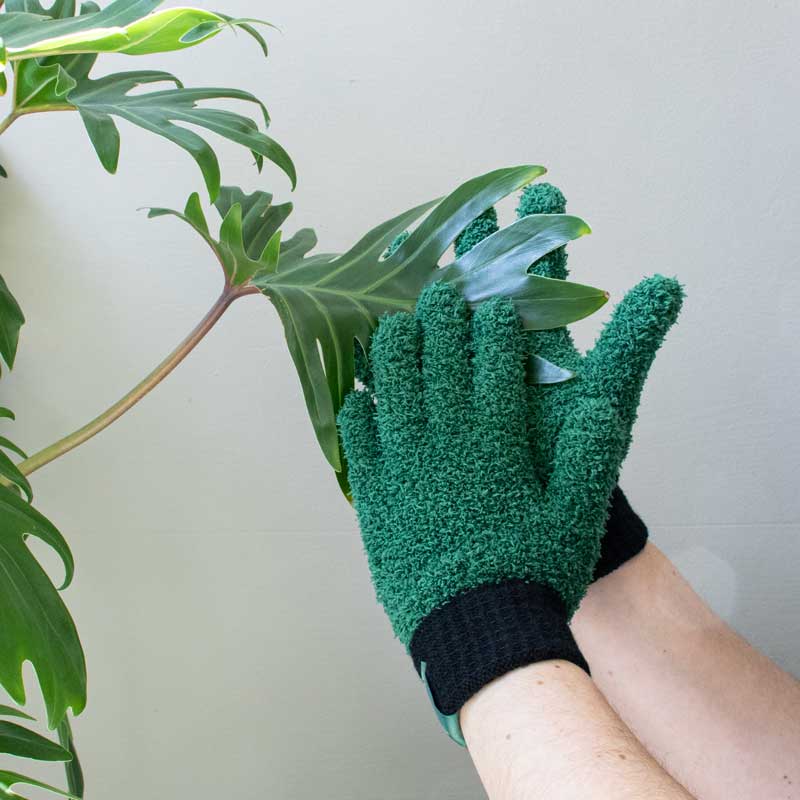 Leaf Love Gloves | Microfibre Dusting Gloves for Plants