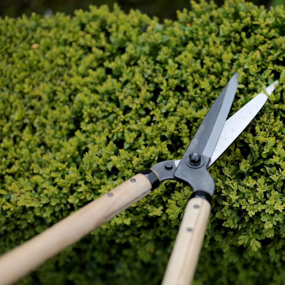 Niwaki Garden Shears